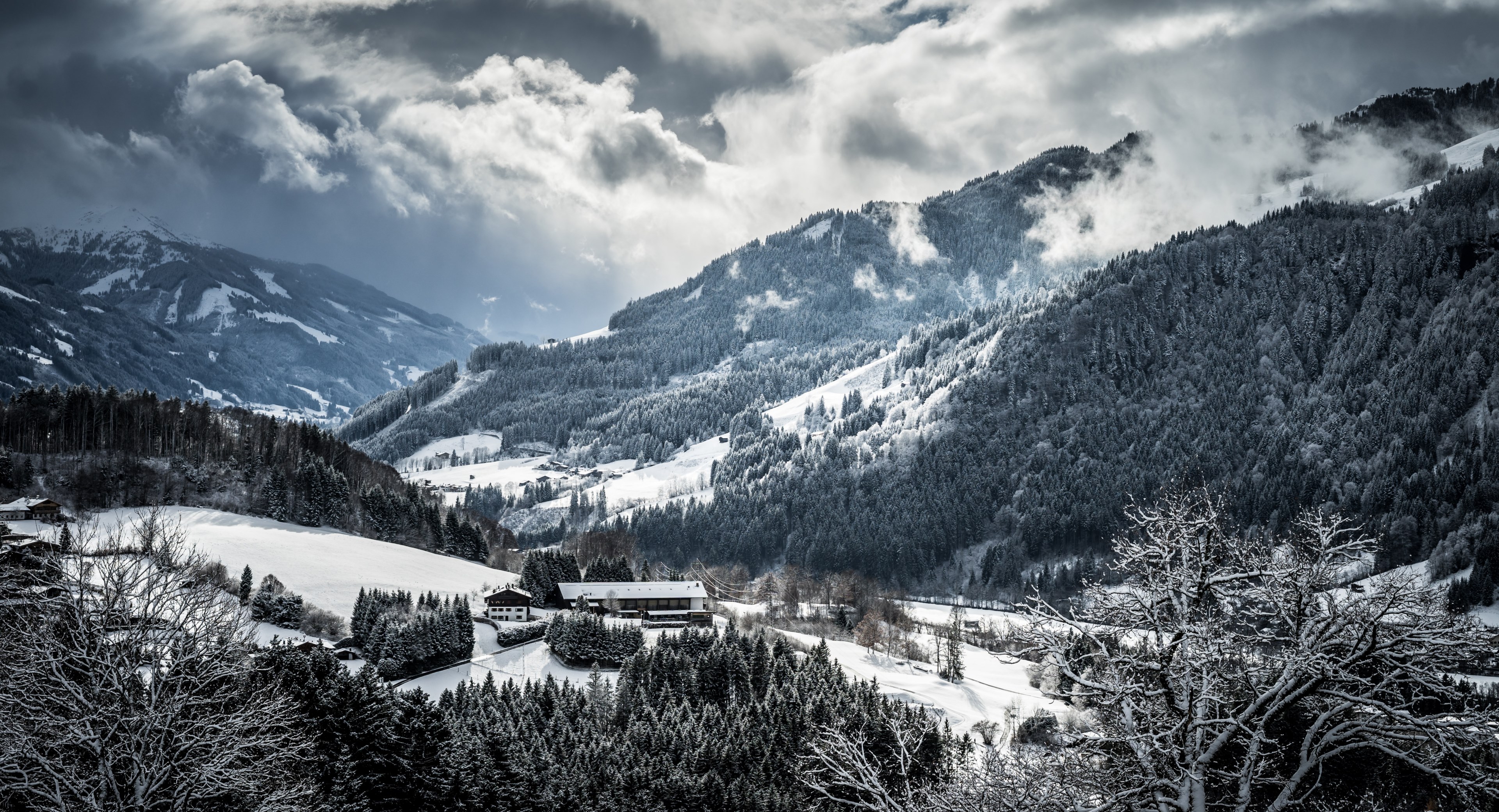 mountain snow tree and woodland 4k, HD Wallpaper