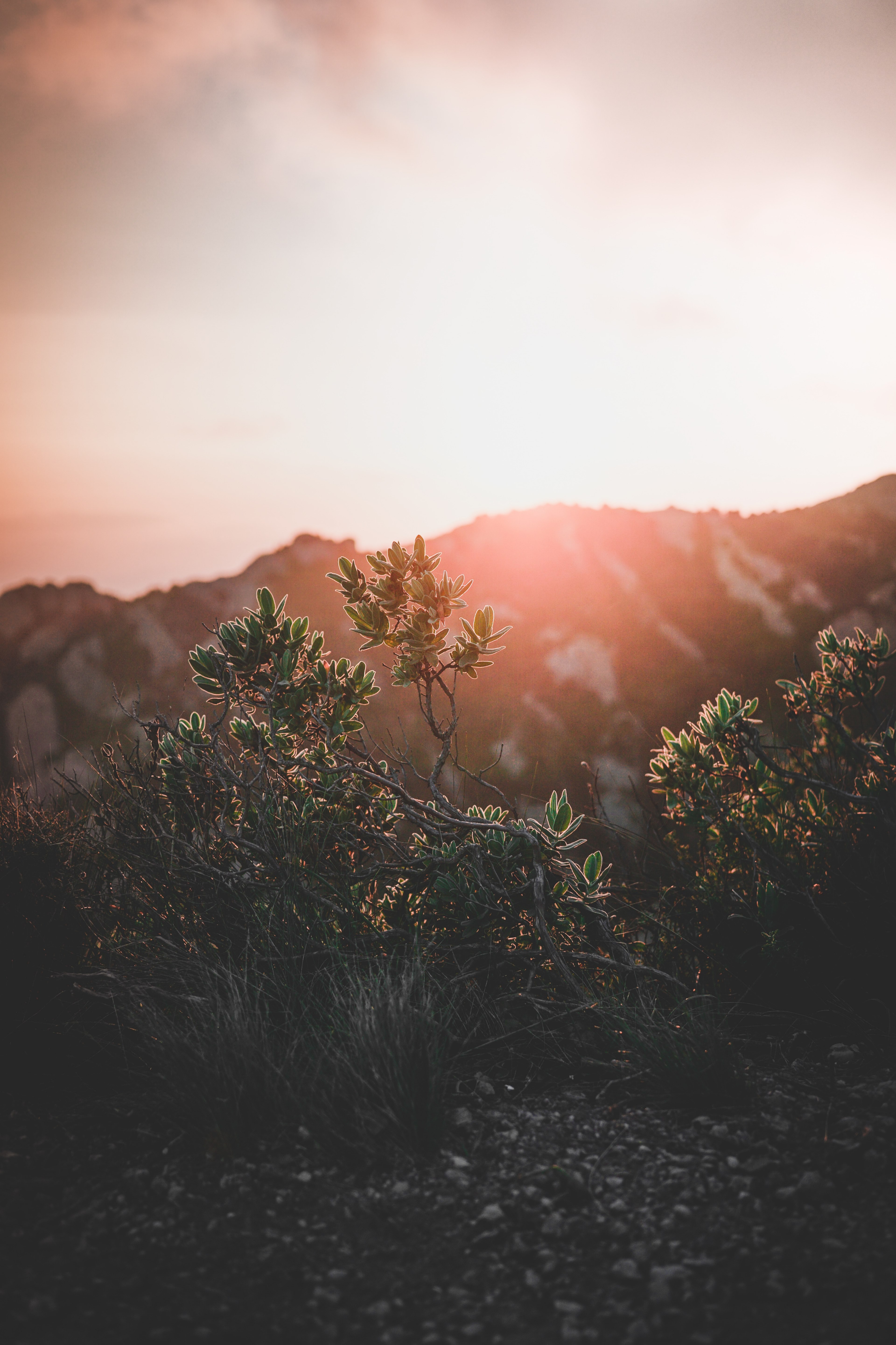 look in the far distance_ 4k, Phone HD Wallpaper