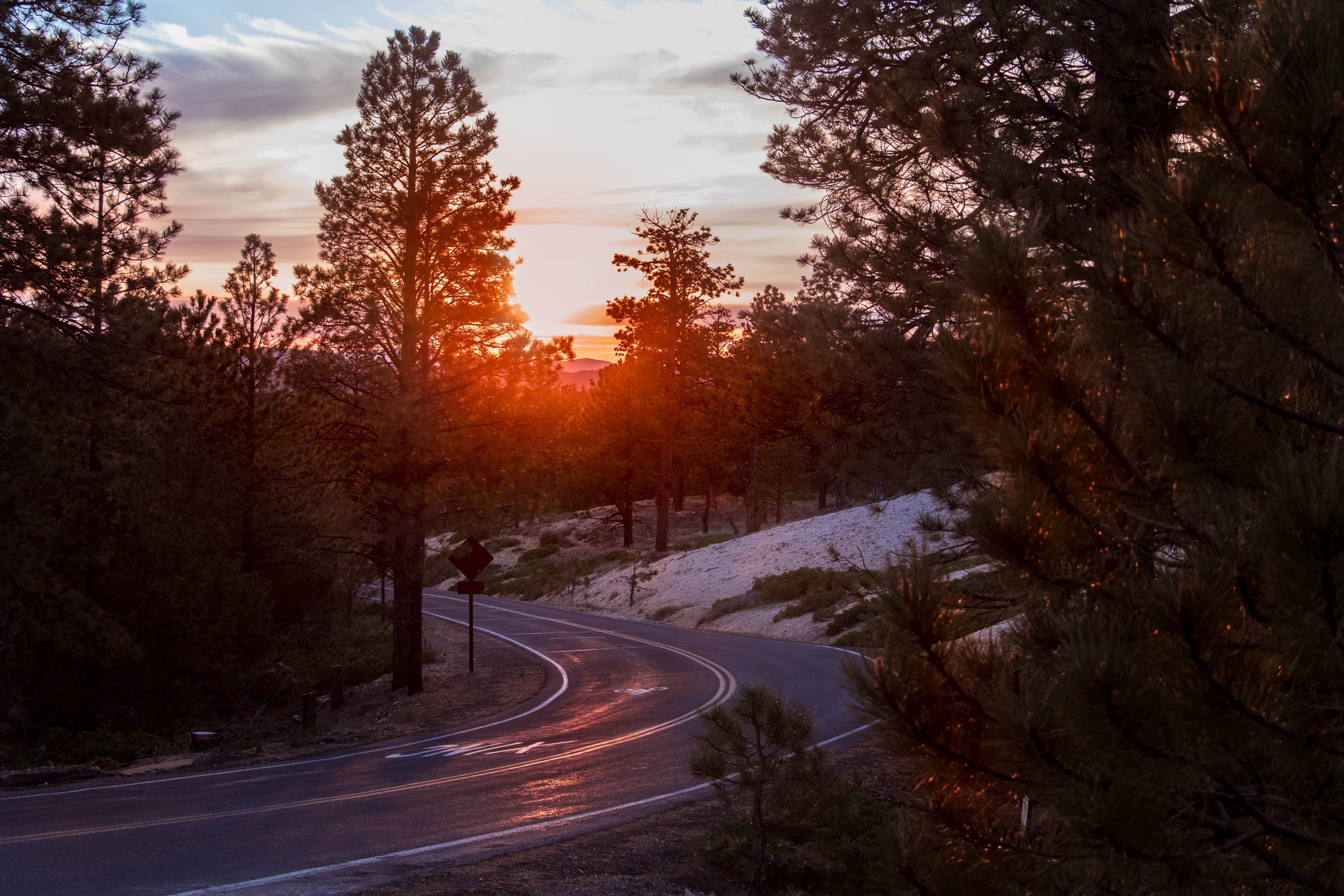a two lane road curves around the forest scenery at bryce canyon with a red sunrise or sunset breaking through the pine trees, roads to wonder 4k, HD Wallpaper