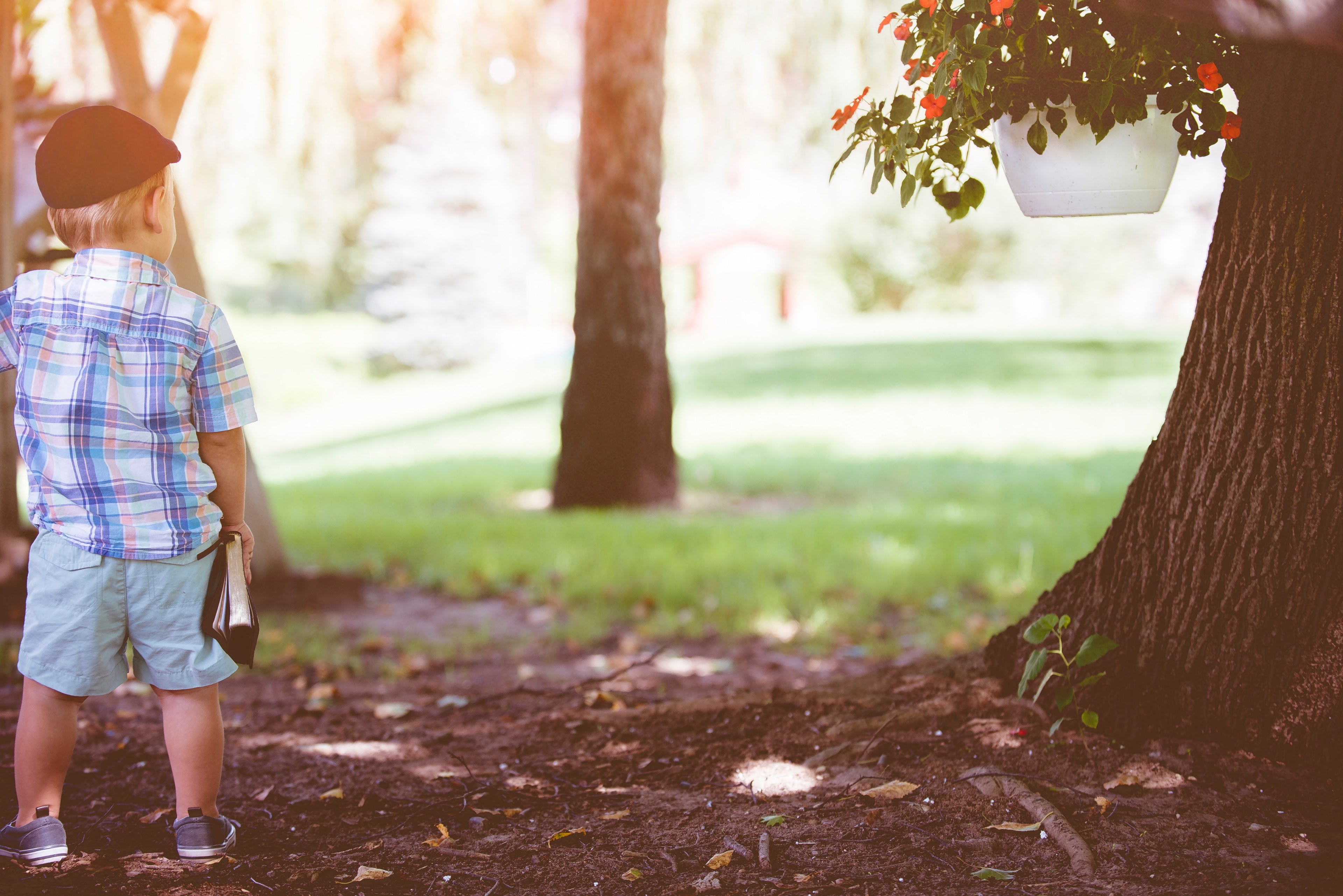 cabby hat hat ben white photography and green 4k, HD Wallpaper