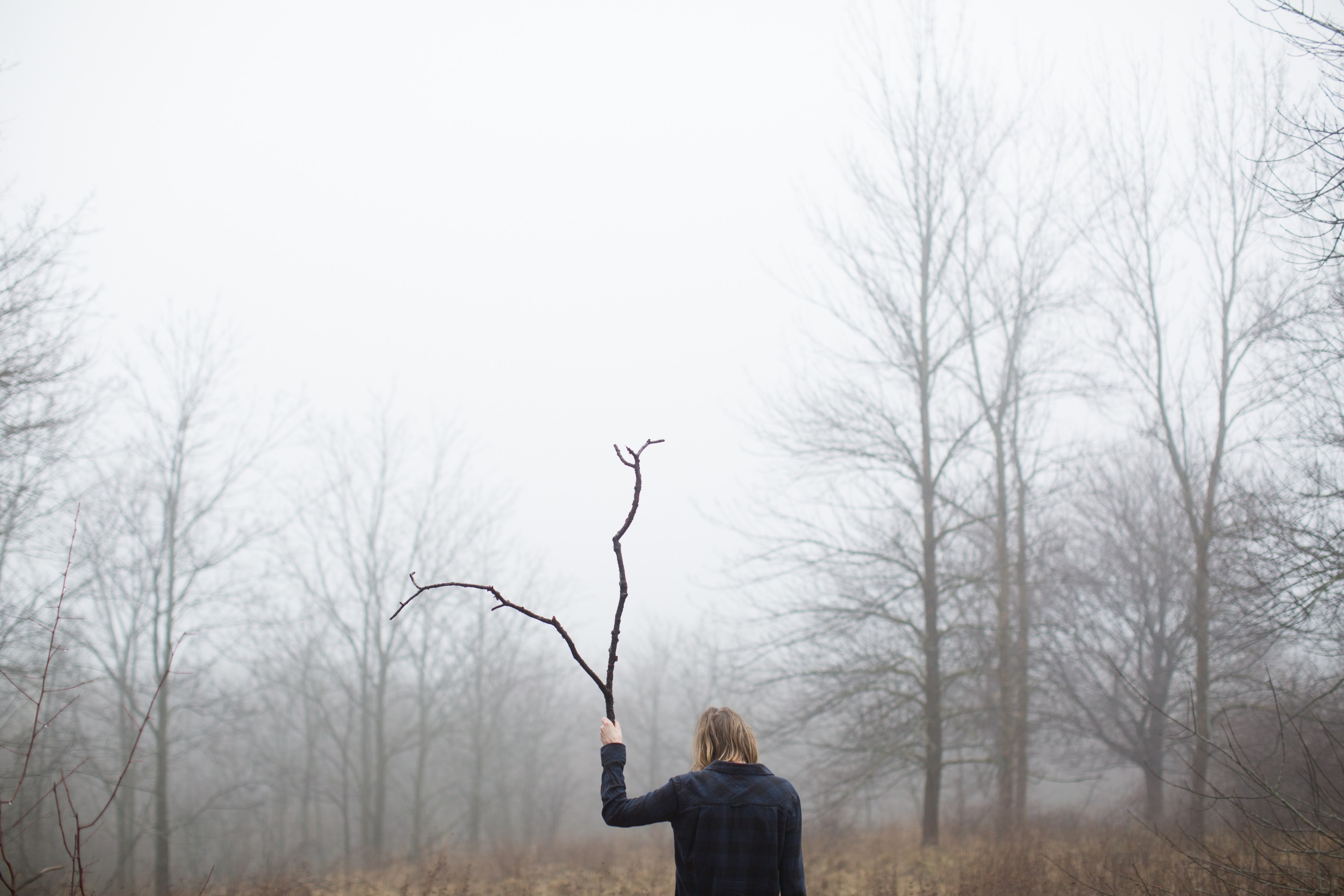 a person holding a branch in their raised hand walks through the woods, the branch 4k, HD Wallpaper
