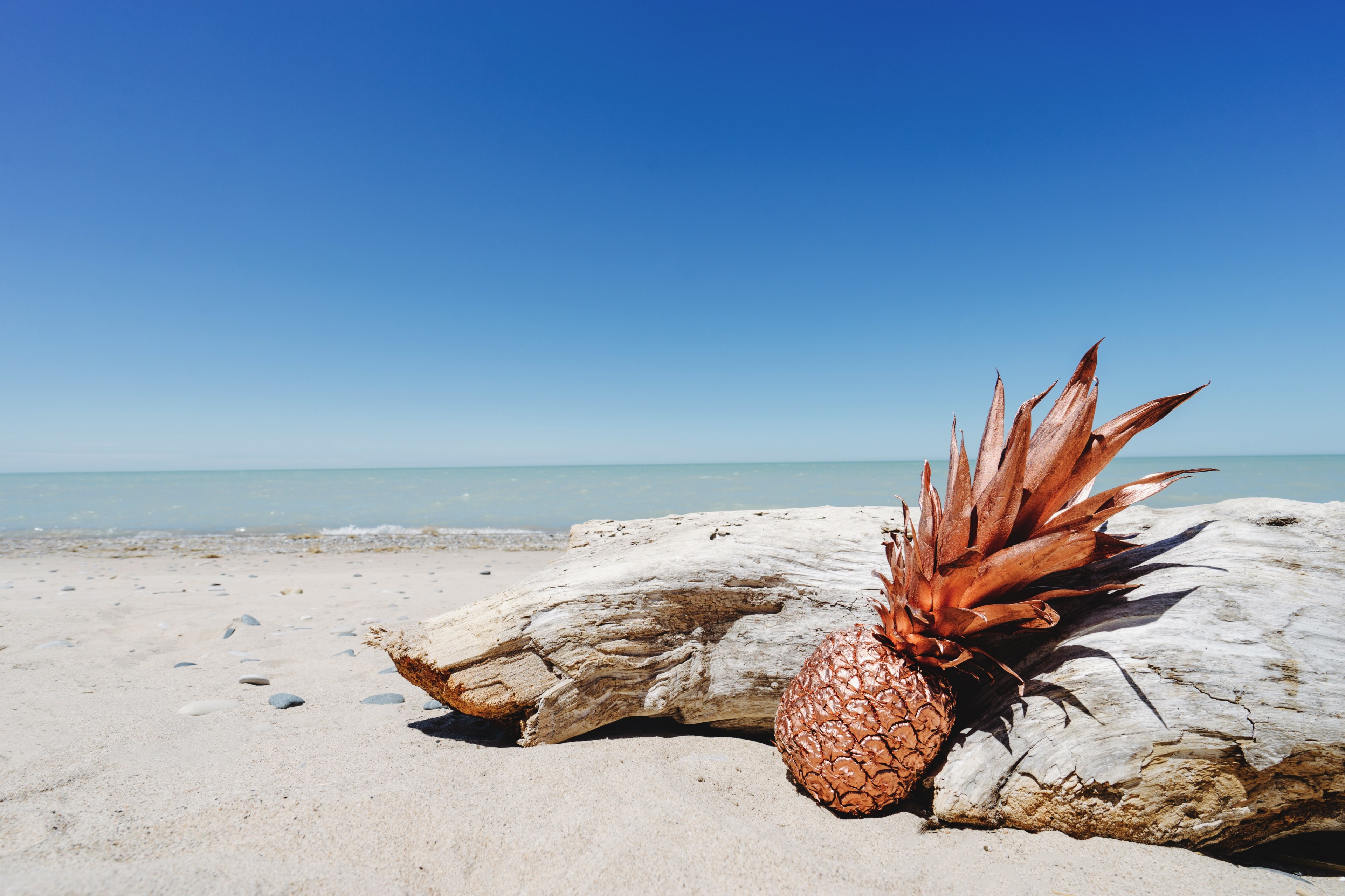 a pineapple leaning against a log at the beach, _bronze pineapple at the beach 4k, HD Wallpaper