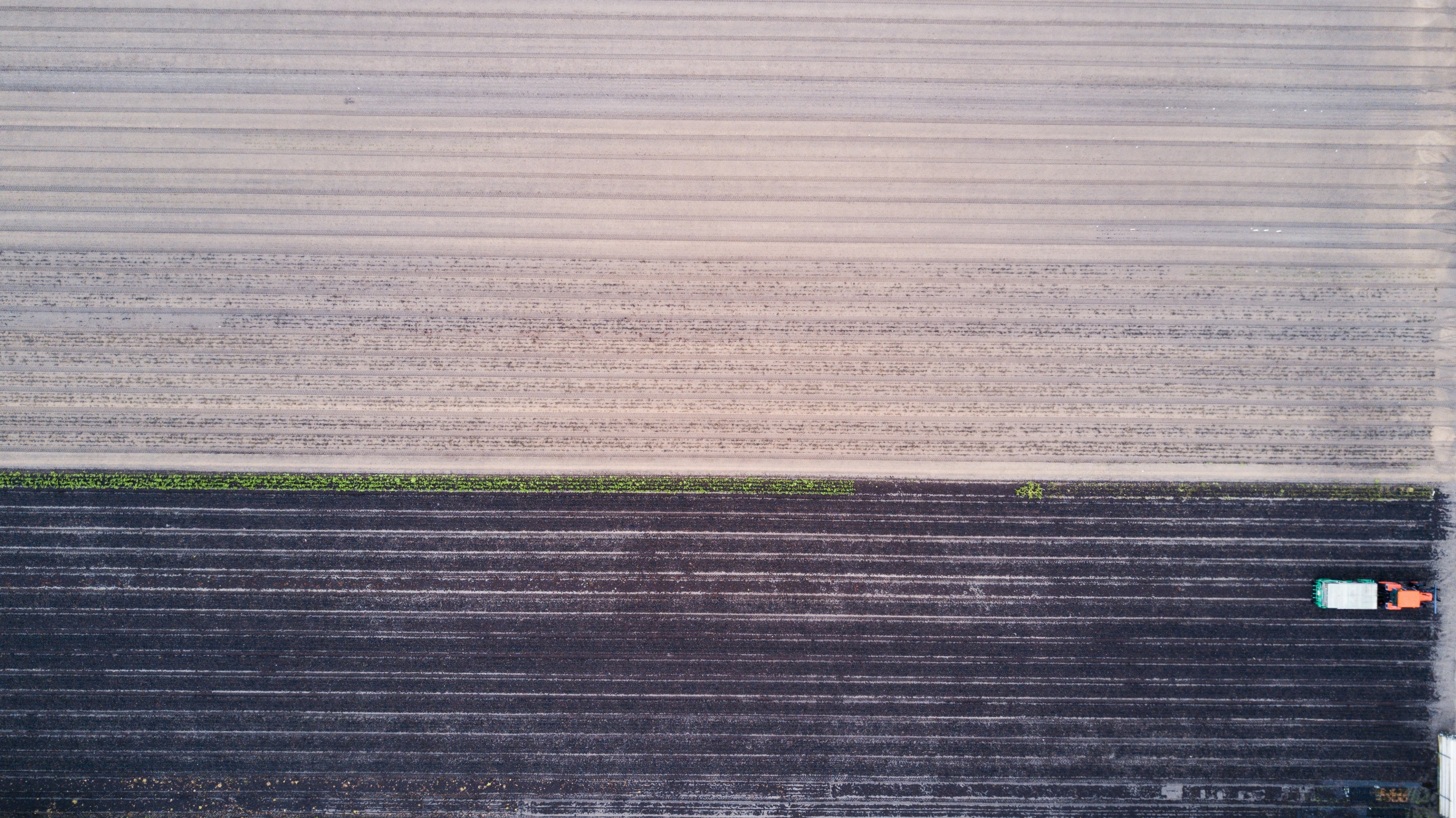 farming field farm and farmer 4k, HD Wallpaper
