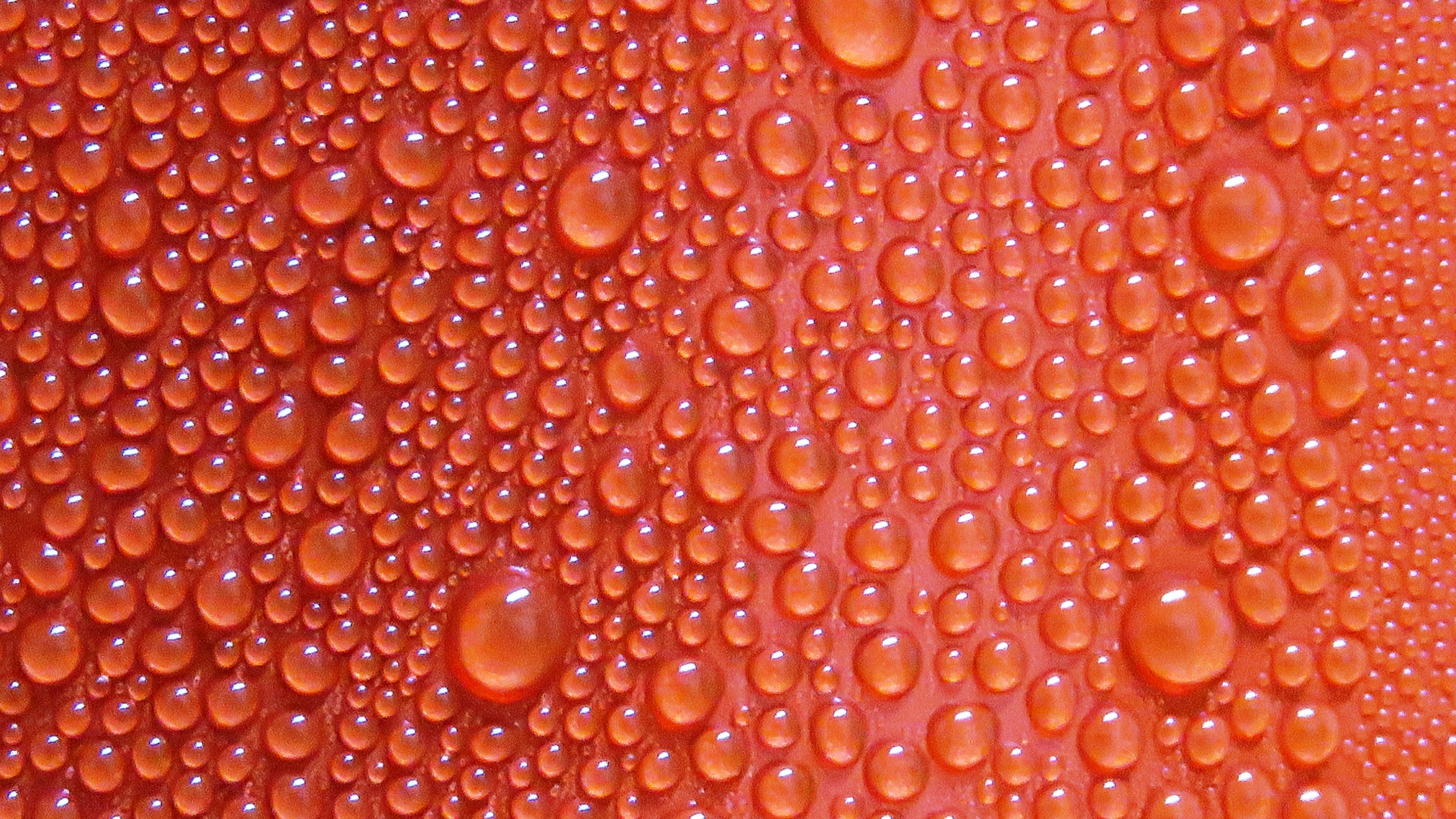 texture, drops, surface, 4k, HD Wallpaper