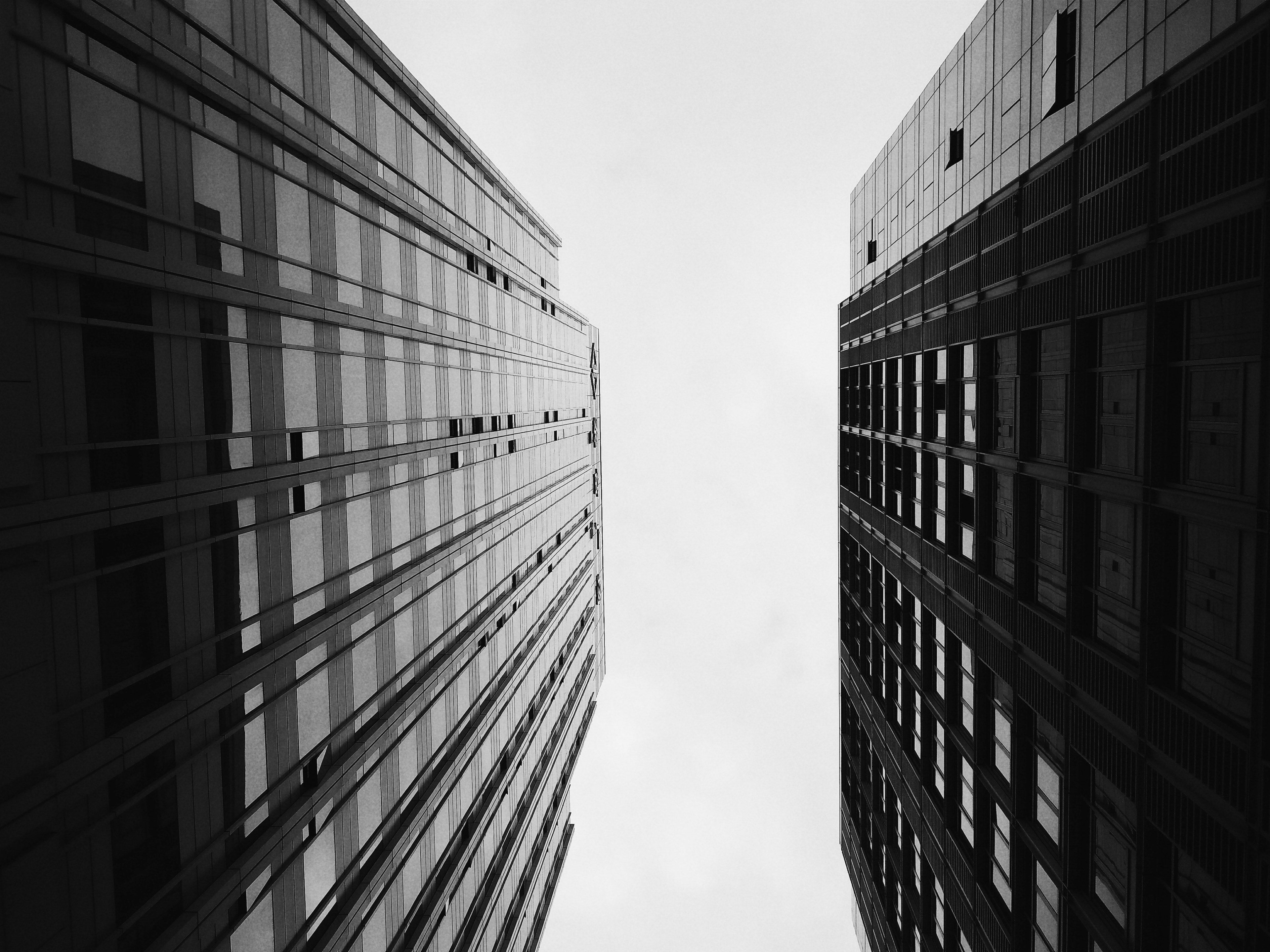 black and white angle shot of skyscrapers from below with clear sky, angle shot of skyscrapers 4k, HD Wallpaper