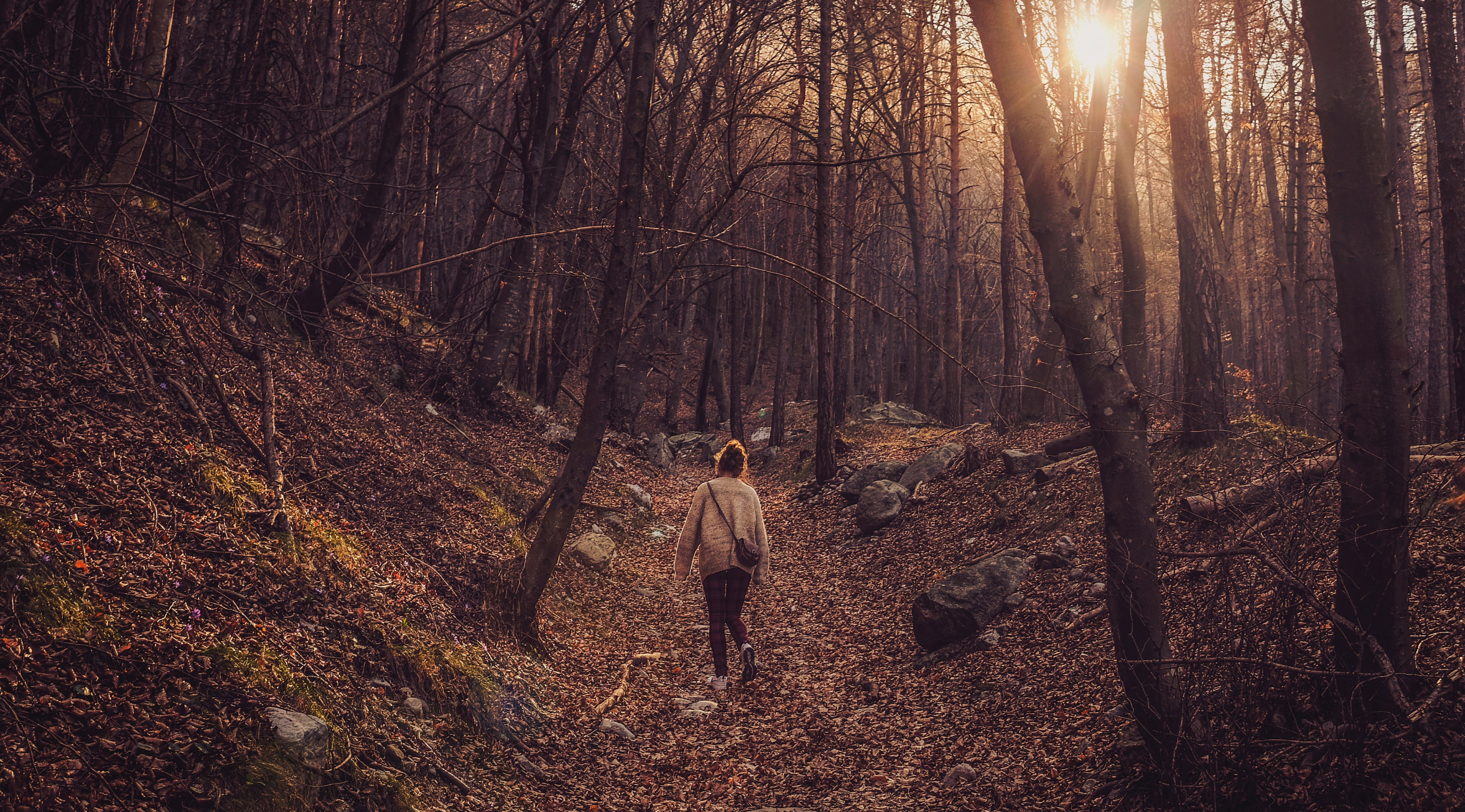 a woman walking through a forest in the afternoon, lone wanderer in the woods 4k, HD Wallpaper