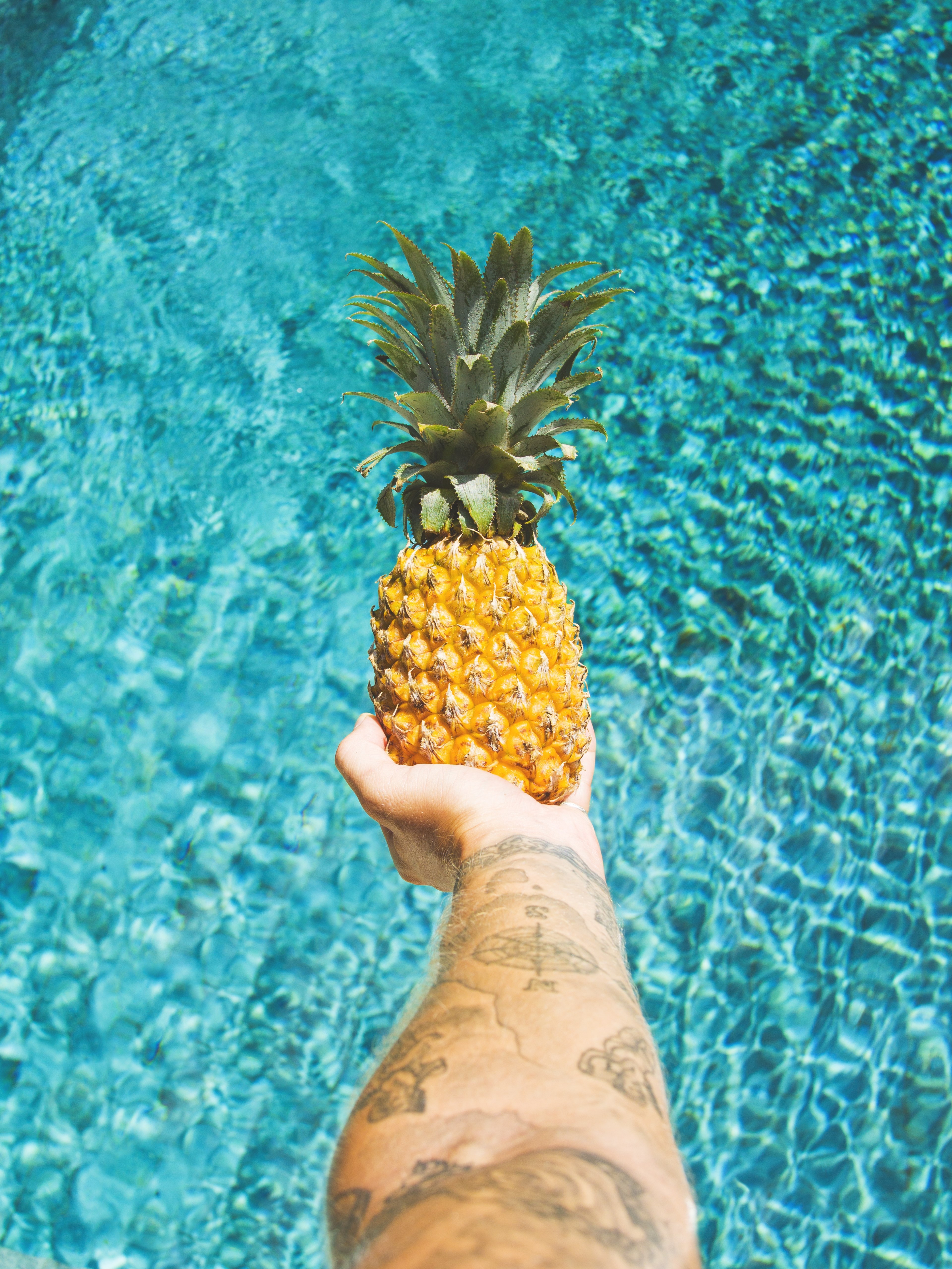 pineapple holding tattoo and arm hd, 4k, Phone HD Wallpaper