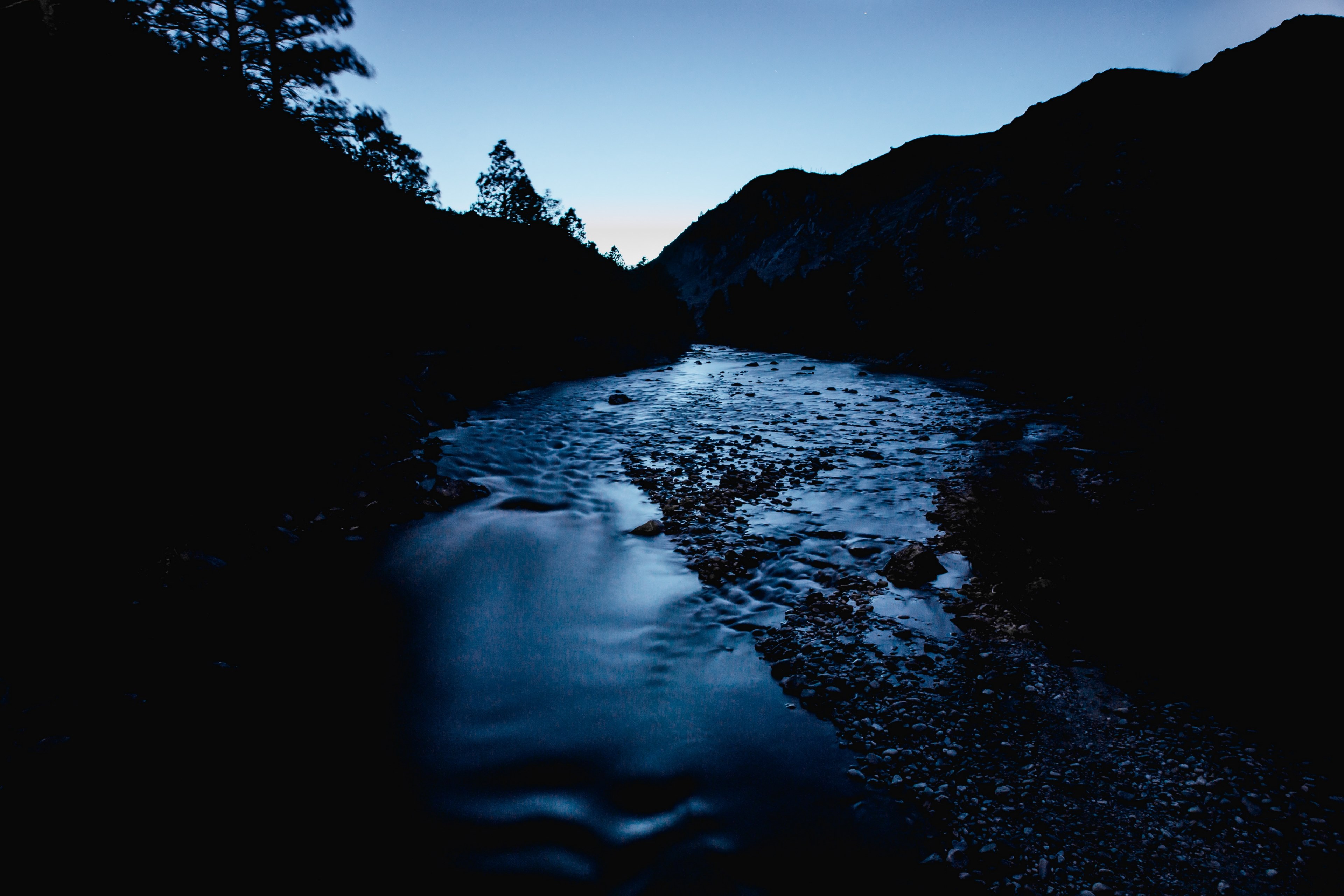 river tree water and blue 4k, HD Wallpaper