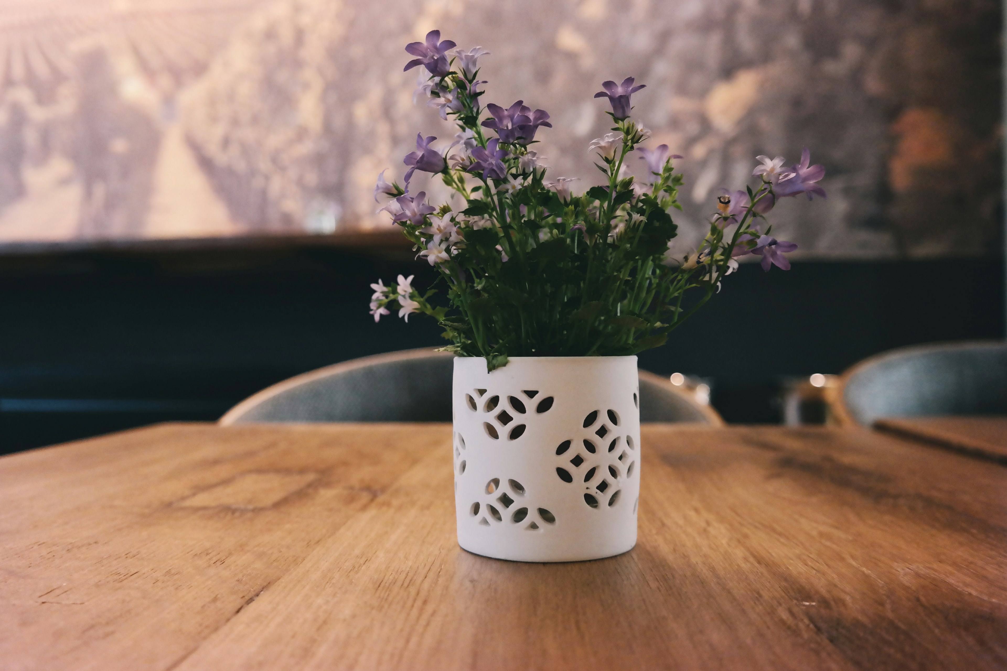 white and violet flowers in a white flowerpot on a wooden table, violet flowers on a table 4k, HD Wallpaper