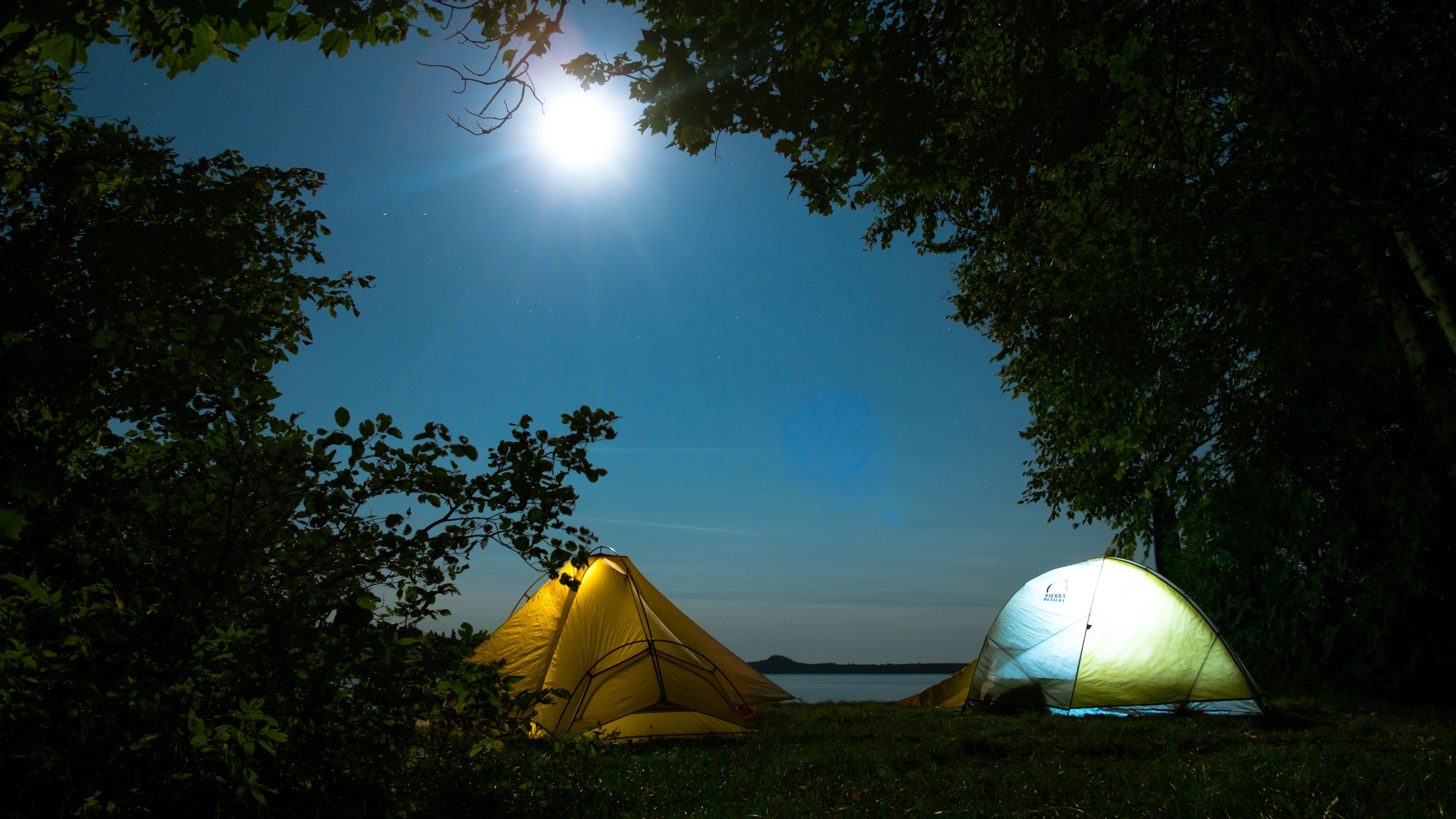 tents, camping, trees, 4k, HD Wallpaper