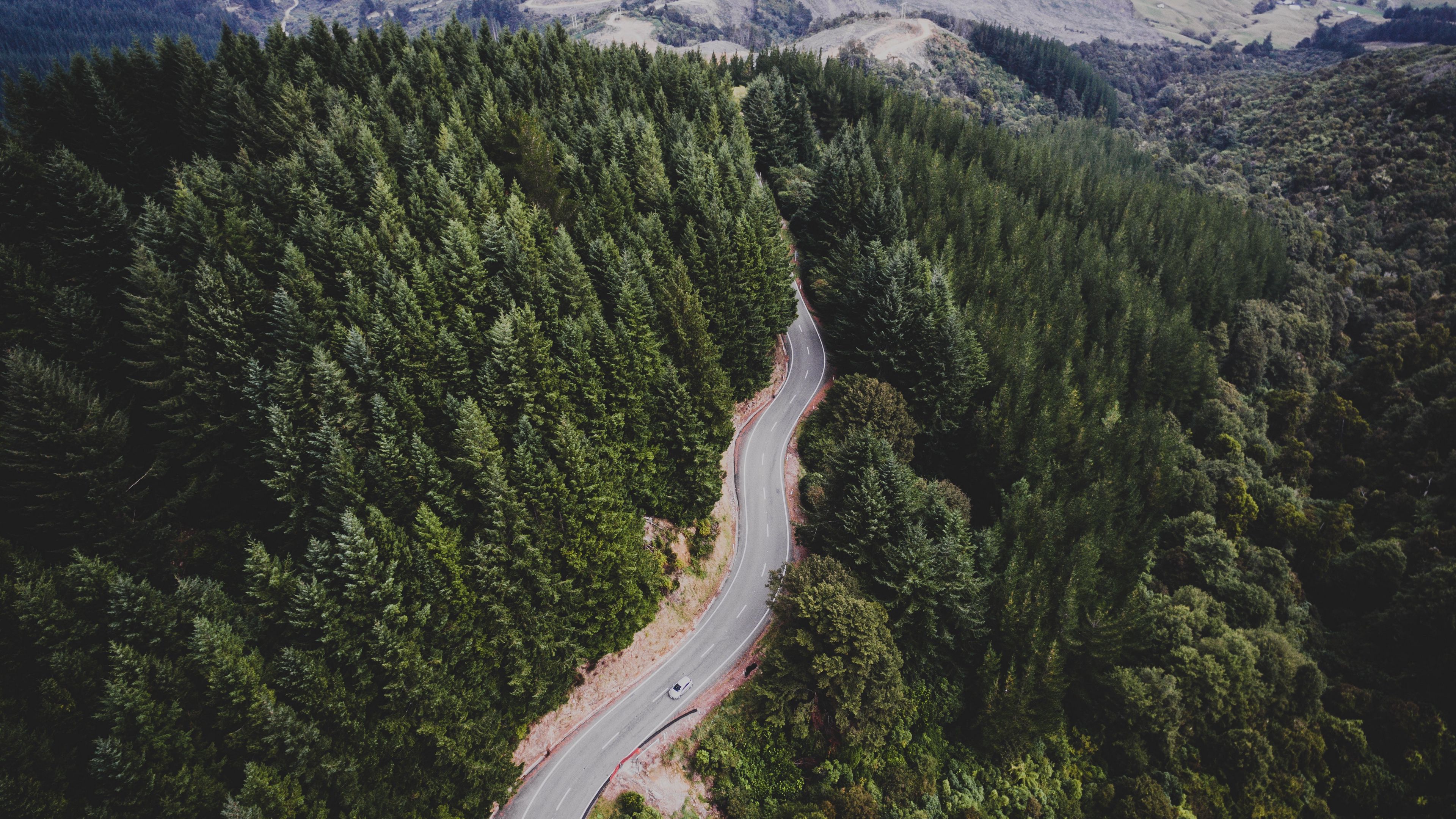 road, trees, movement, top view, 4k, HD Wallpaper