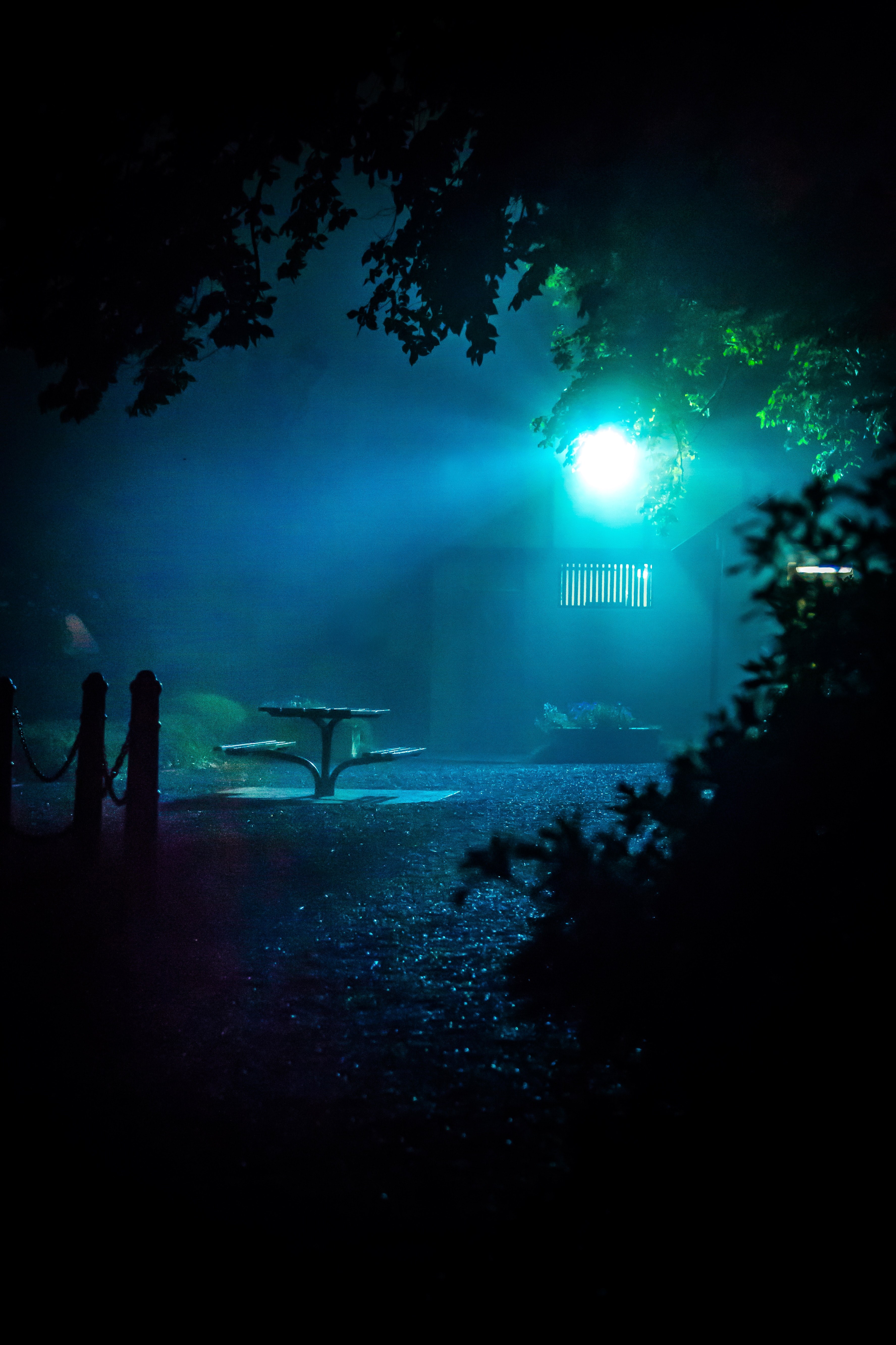 spooky dangerou scary and moody hd, 4k, Phone HD Wallpaper