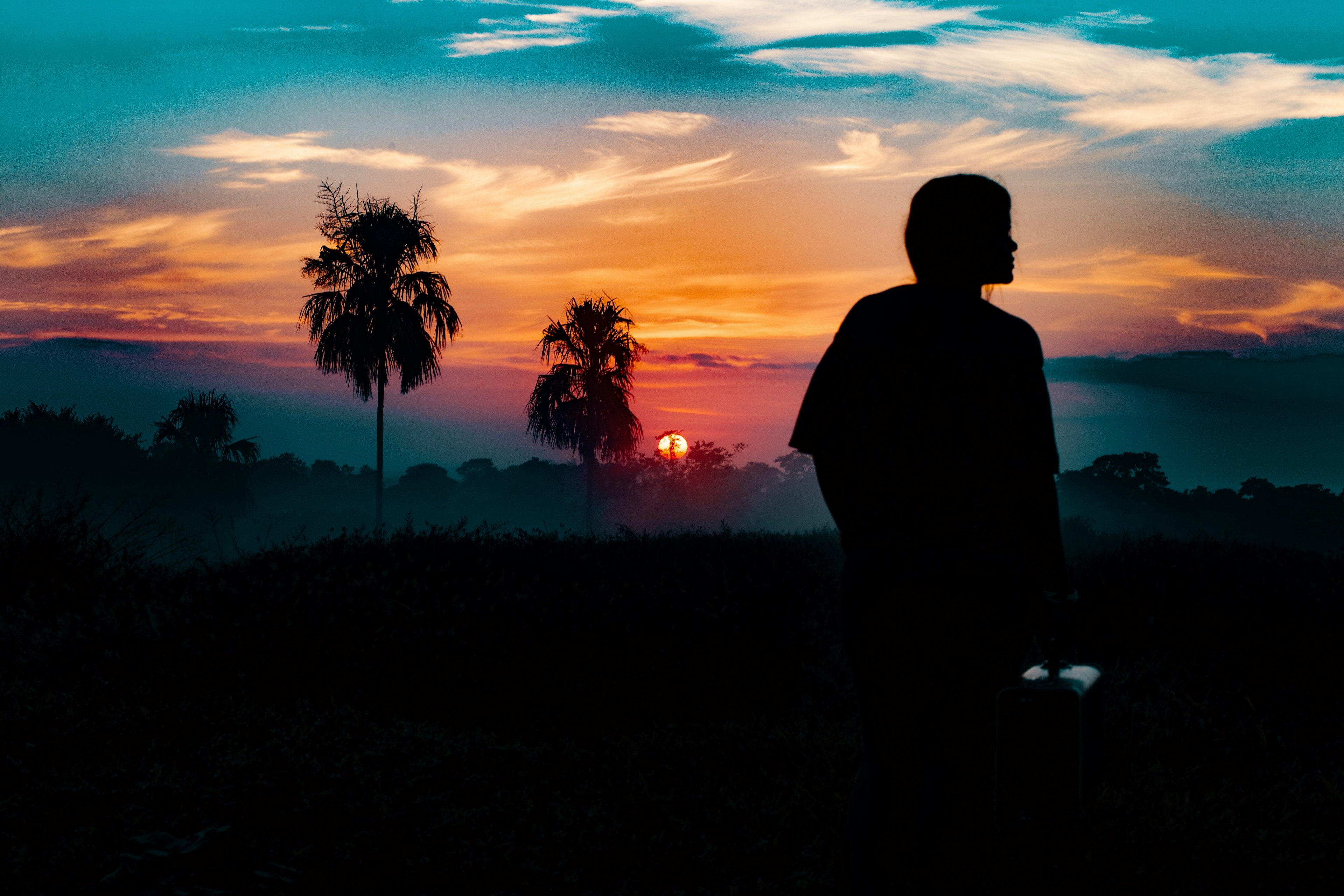 silhouette person and mid ground landscape in columbia including palm trees with a sunset with red orange and blue sky background, dawn 4k, HD Wallpaper