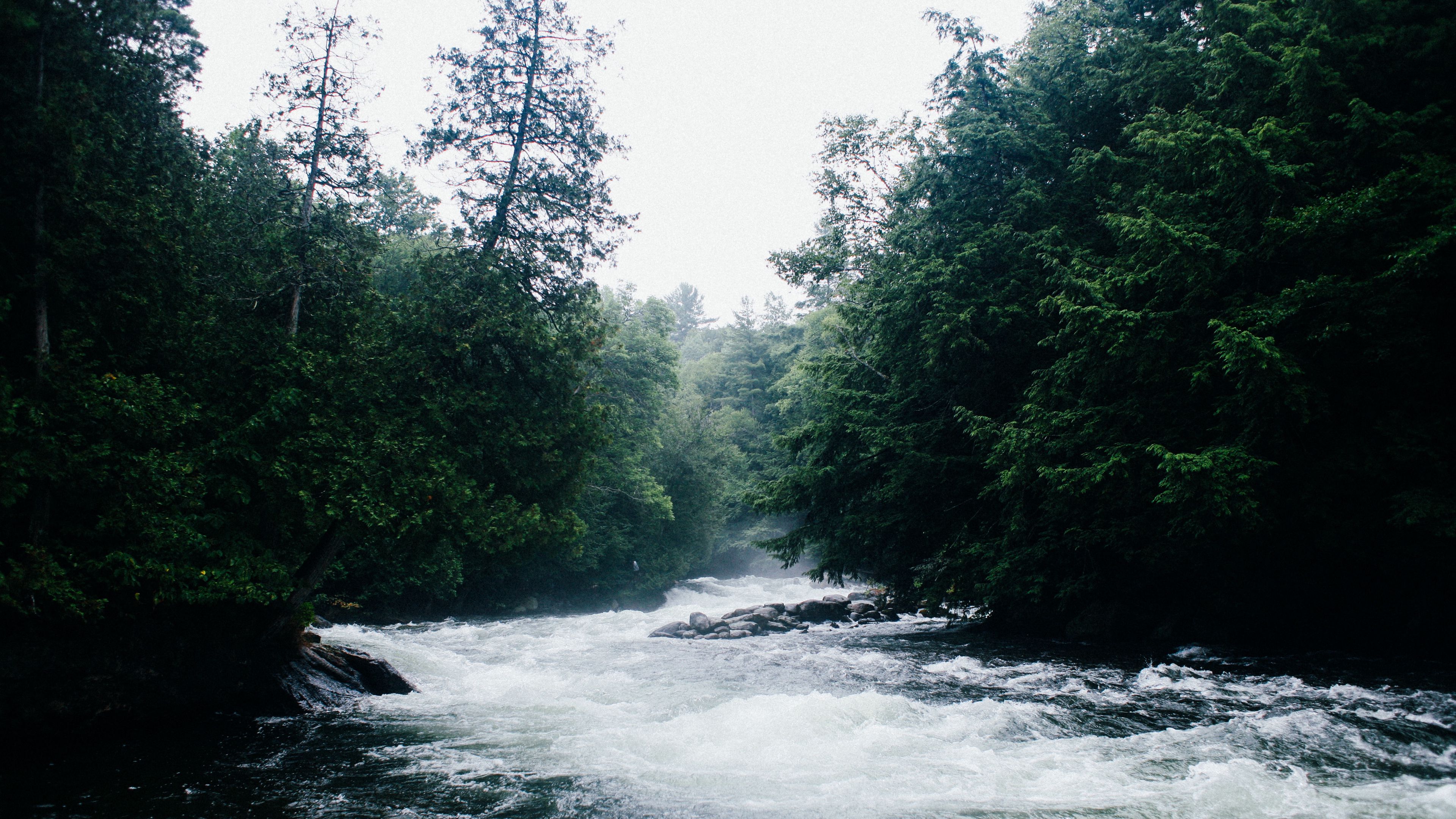 river, current, trees, 4k, HD Wallpaper