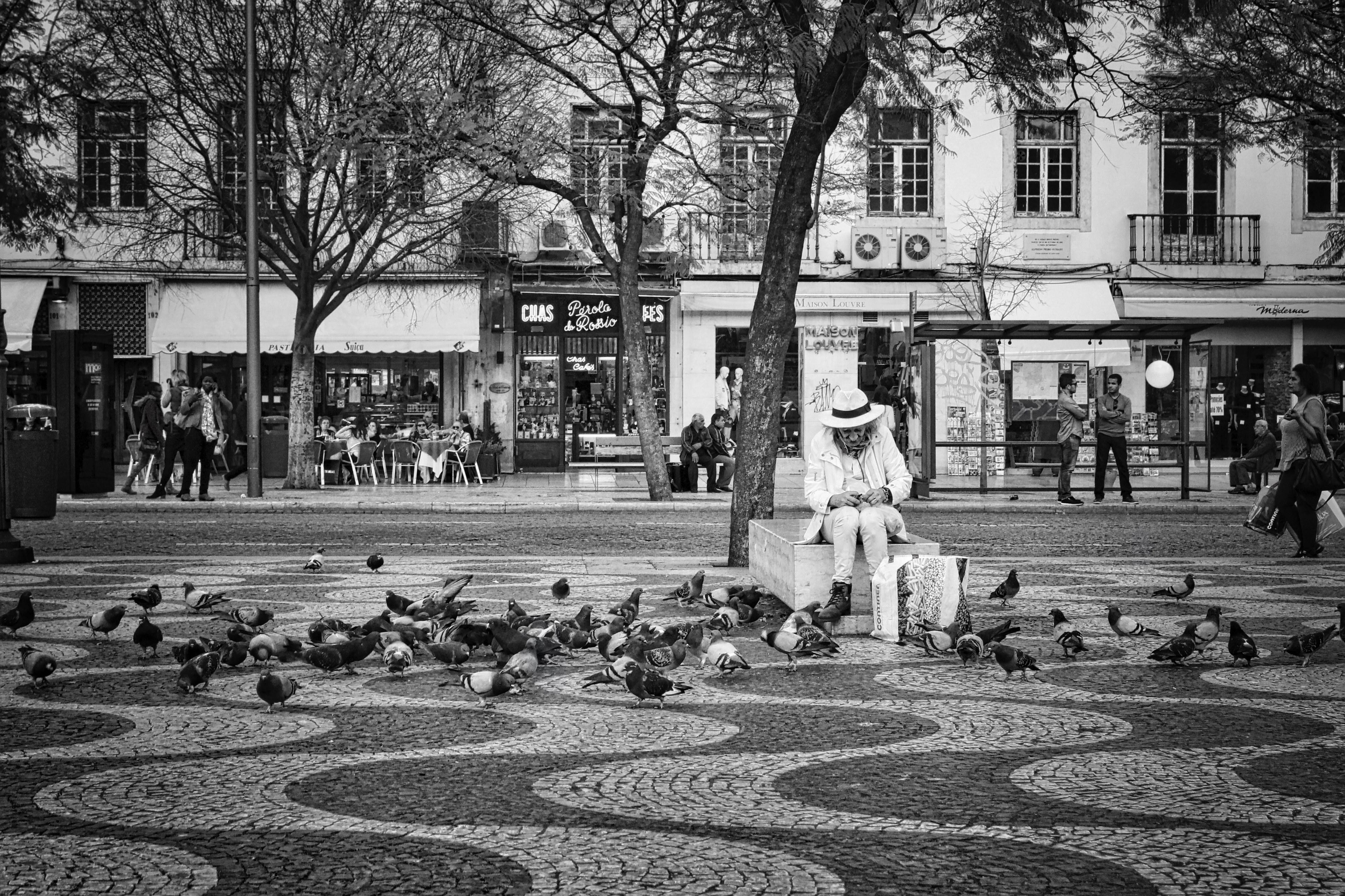 bird person building and pigeon 4k, HD Wallpaper