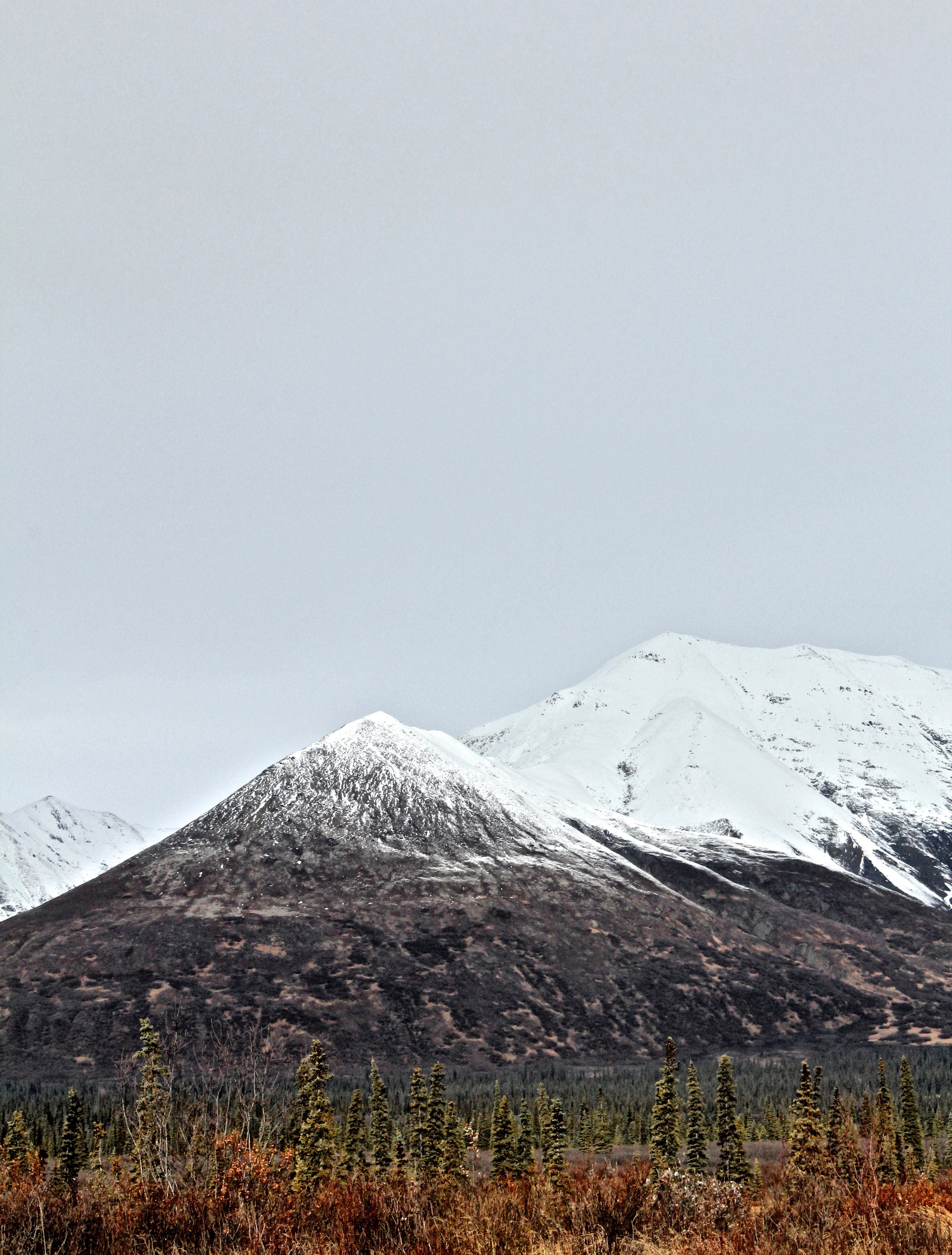 a colorful field leads to a snowy mountain top, alaska highway 4k, Phone HD Wallpaper