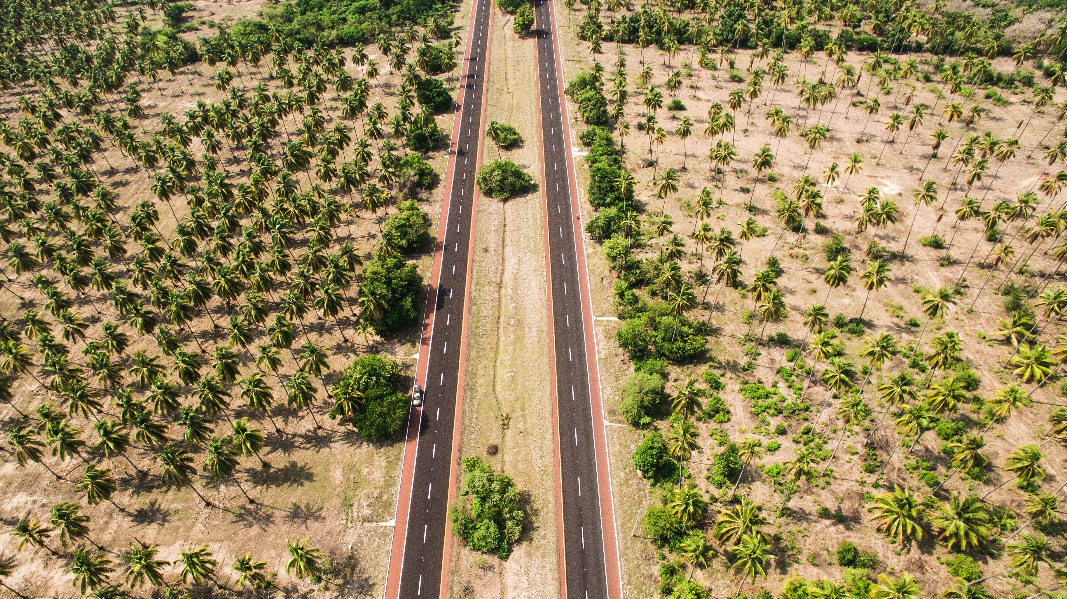 an aerial photo of two parallel lanes surrounded with palm trees, parallel roads among palms 4k, HD Wallpaper