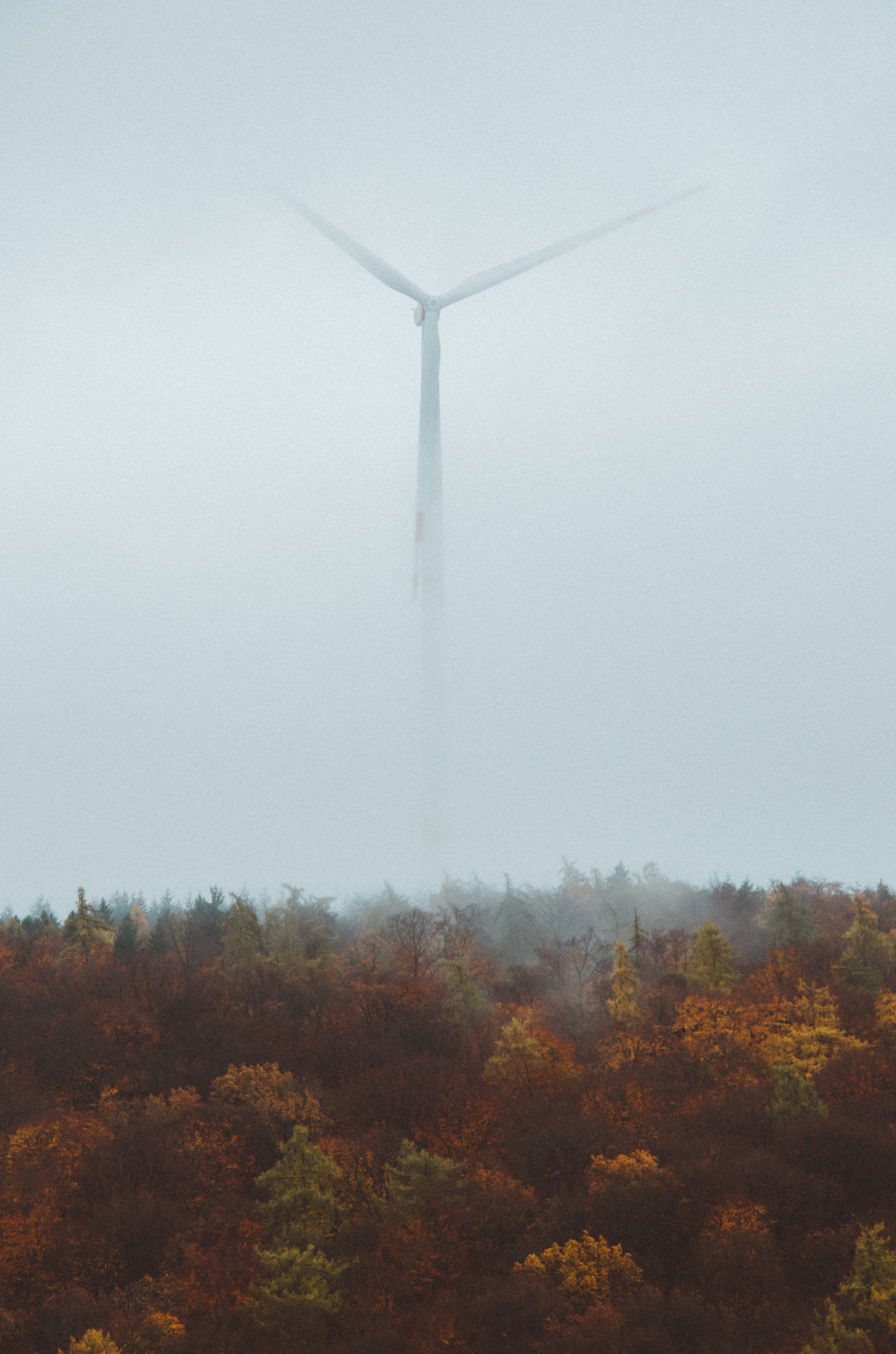 tree woodland forest and wind turbine hd, 4k, Phone HD Wallpaper