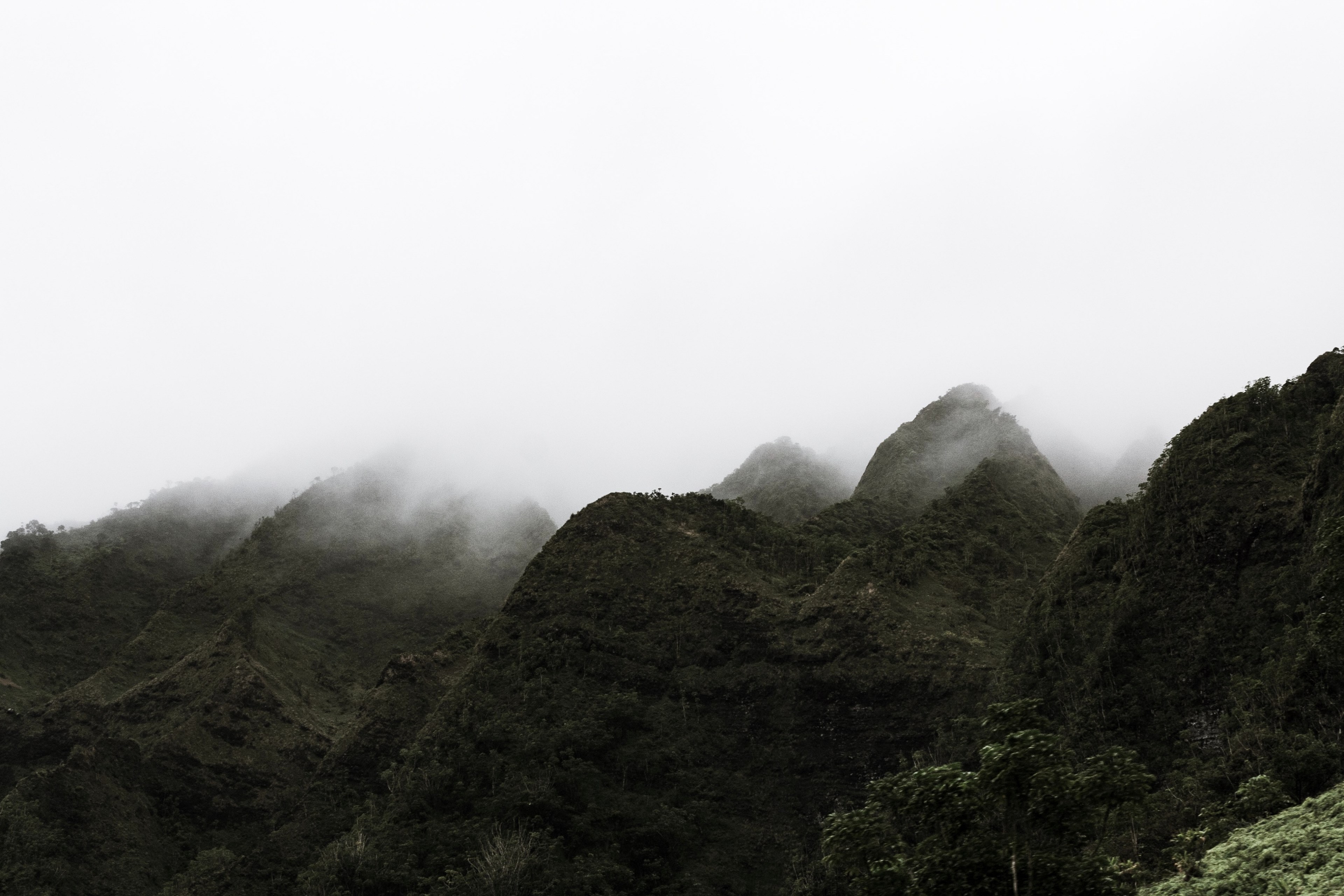 mountain mist fog and landscape 4k, HD Wallpaper