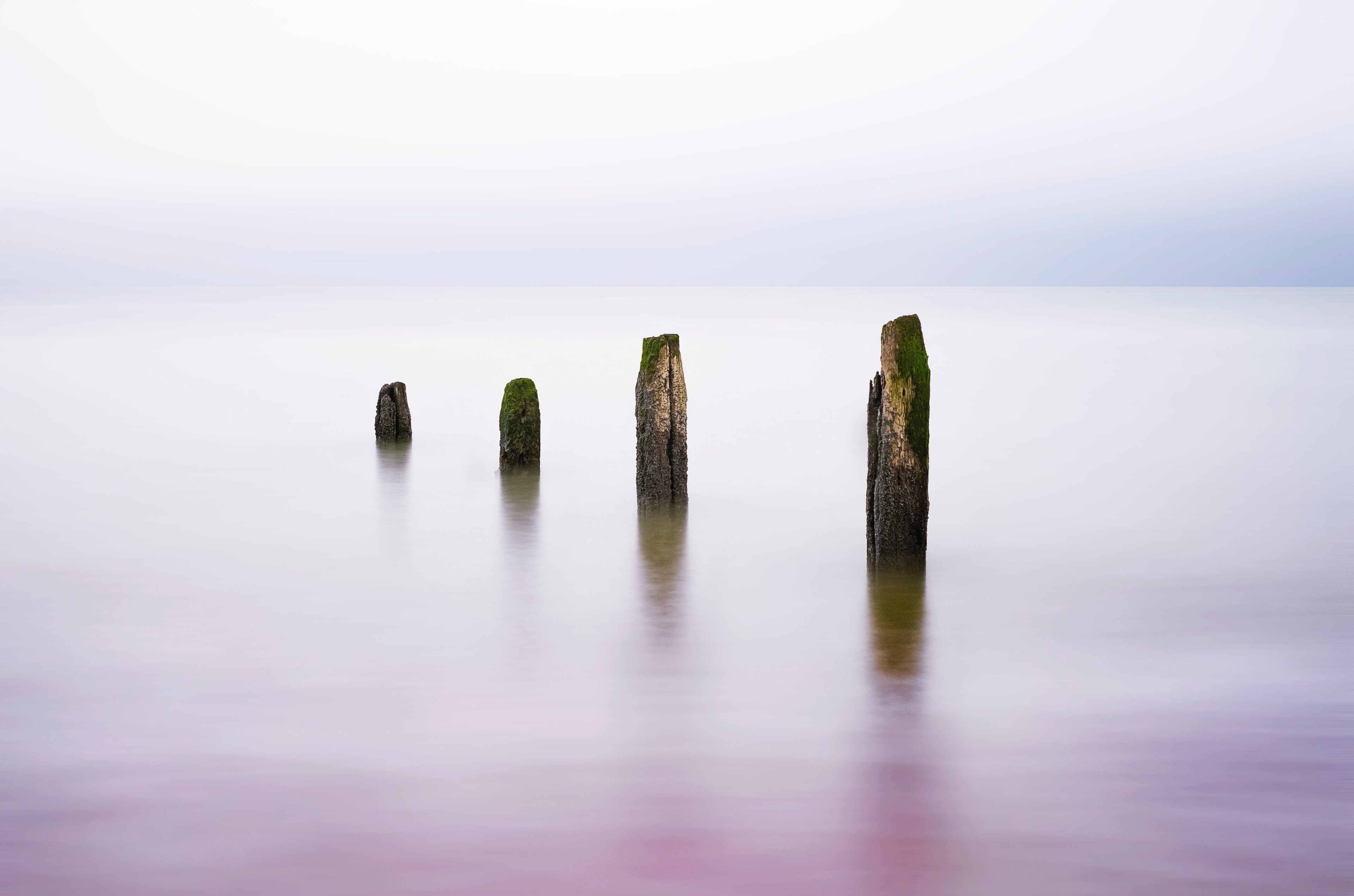 4 sisters 4k, HD Wallpaper