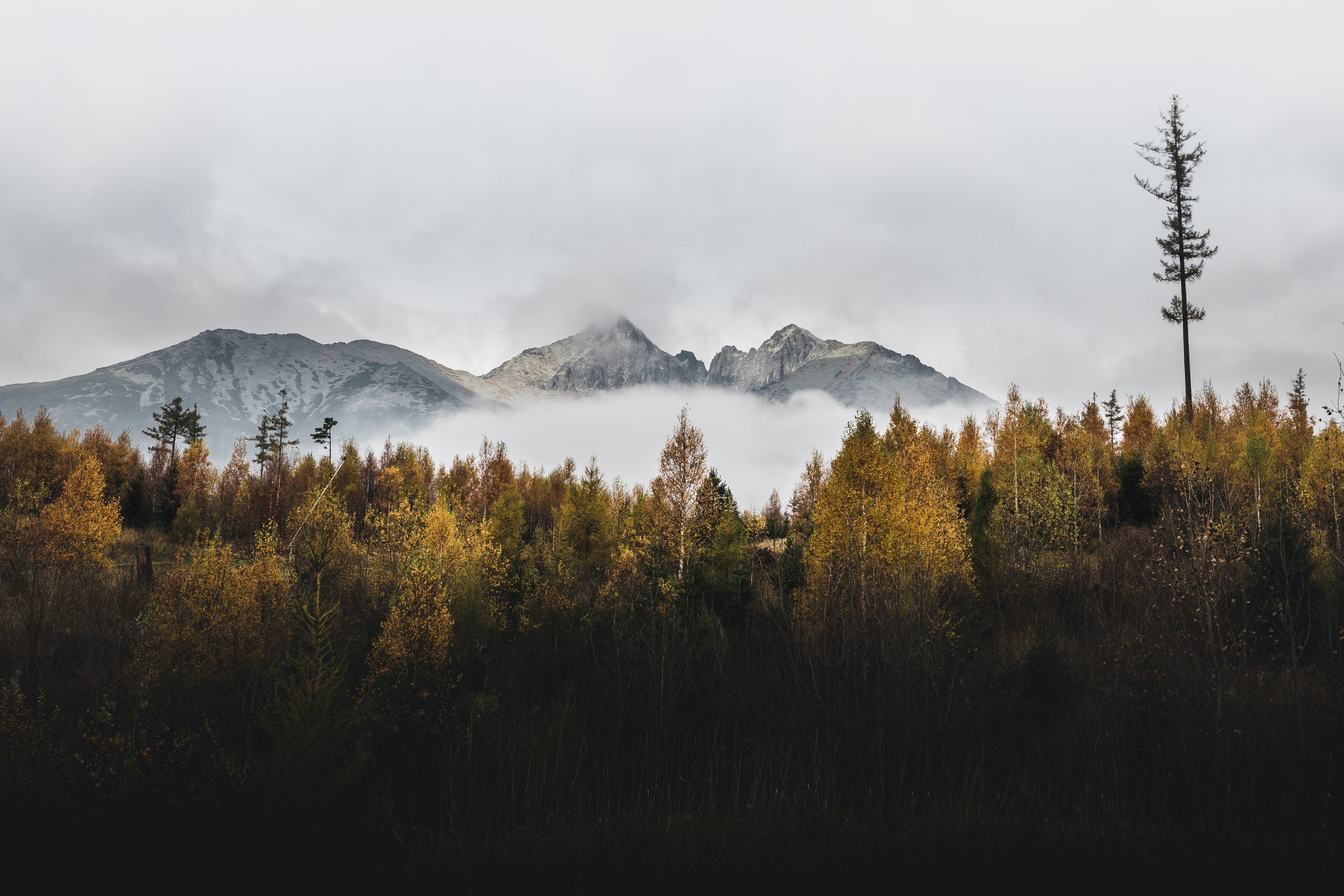 fall near high tatras 4k, HD Wallpaper