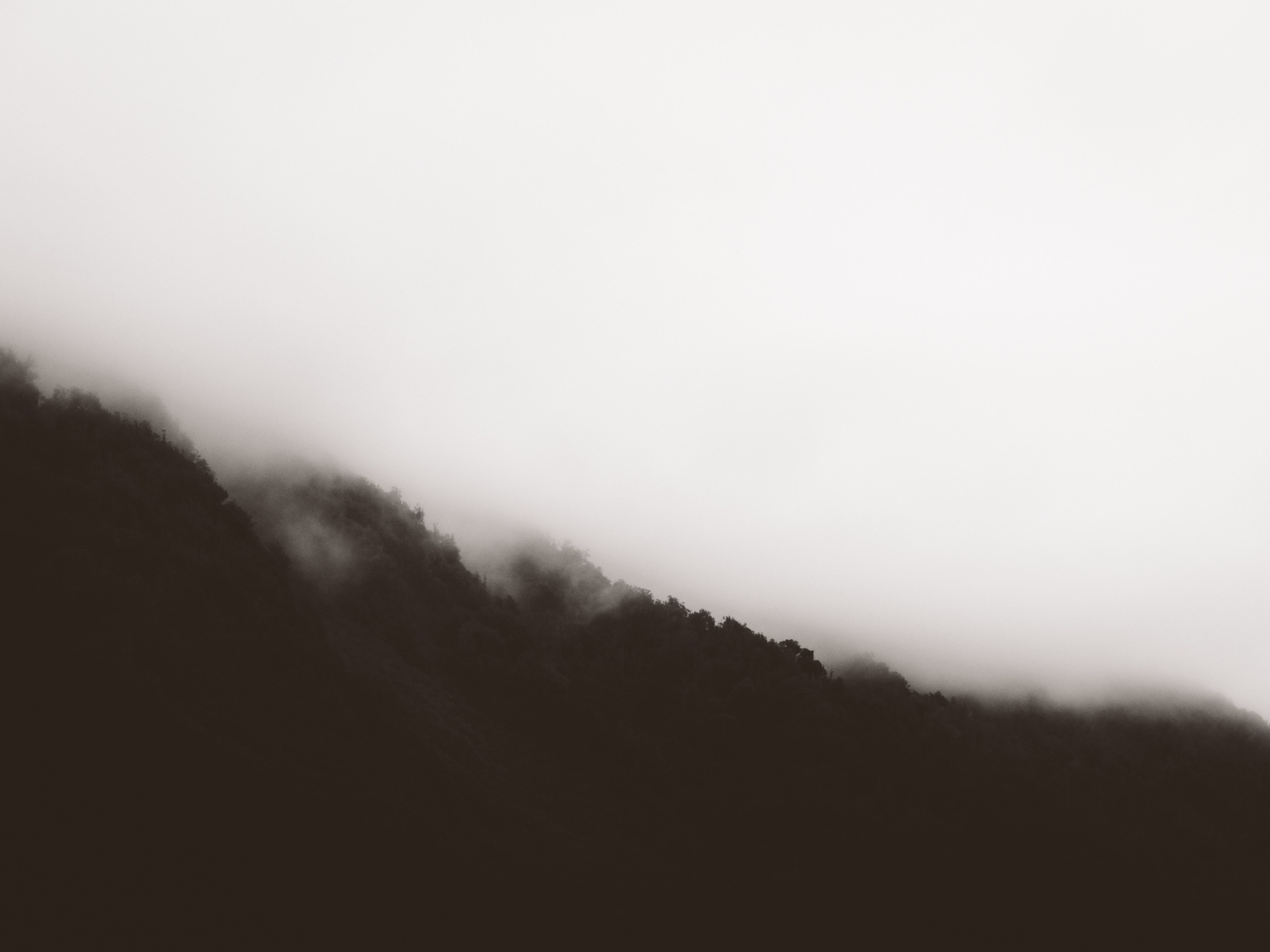 dividing line 4k, HD Wallpaper