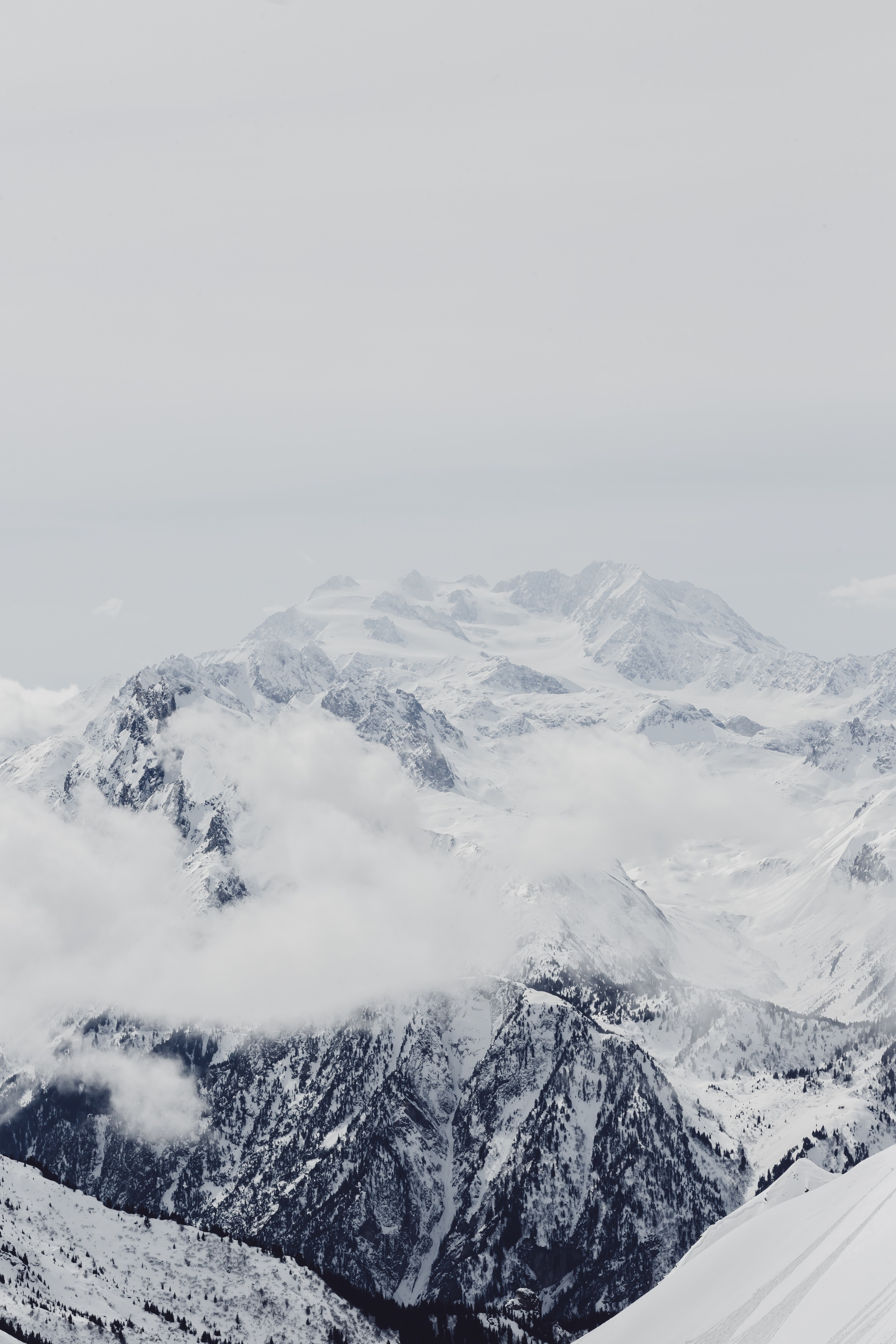 white part 2 4k, Phone HD Wallpaper