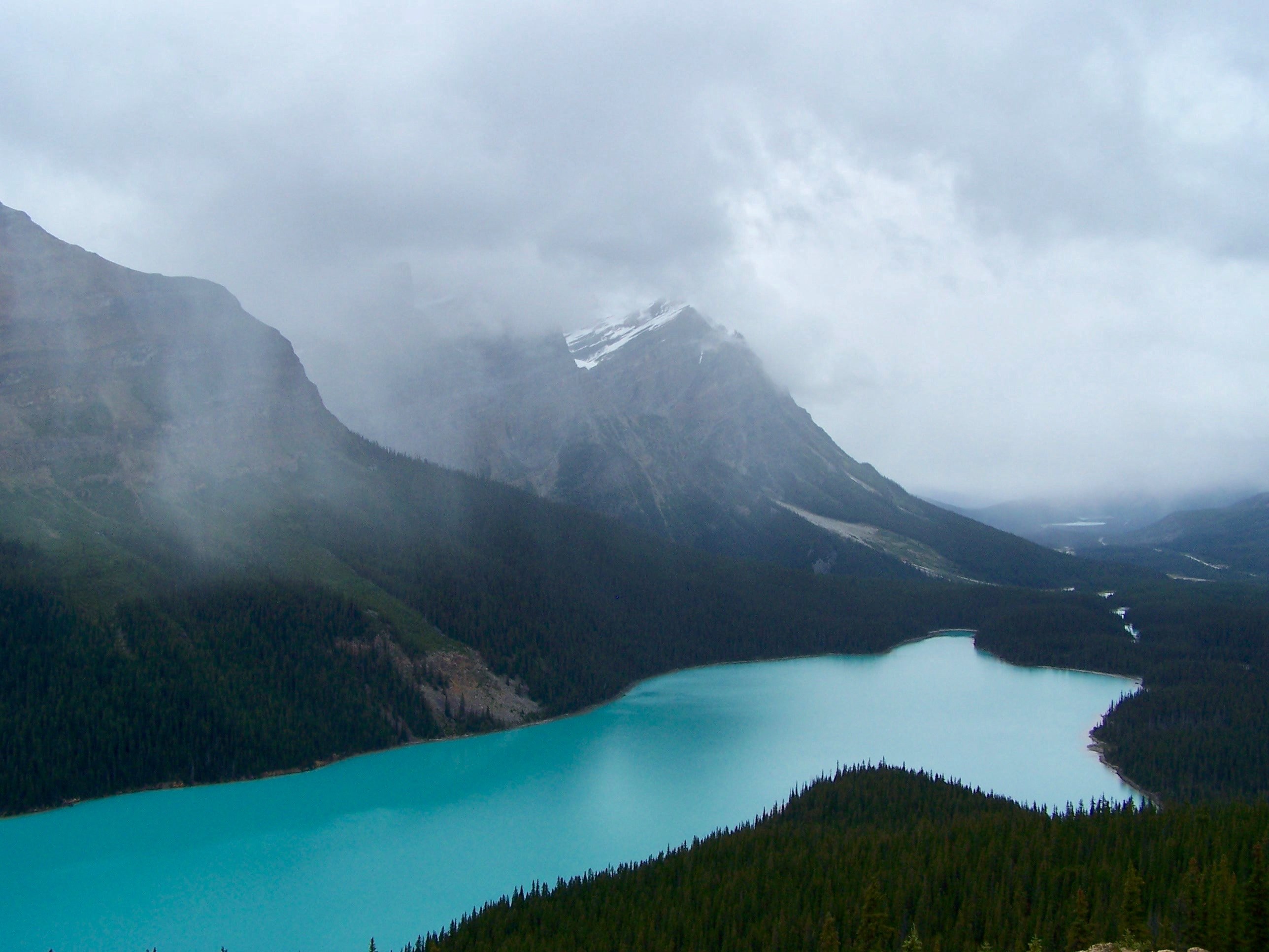 the beautiful peyto lake in british columbia under gray clouds, peyto lake on a cloudy day 4k, HD Wallpaper