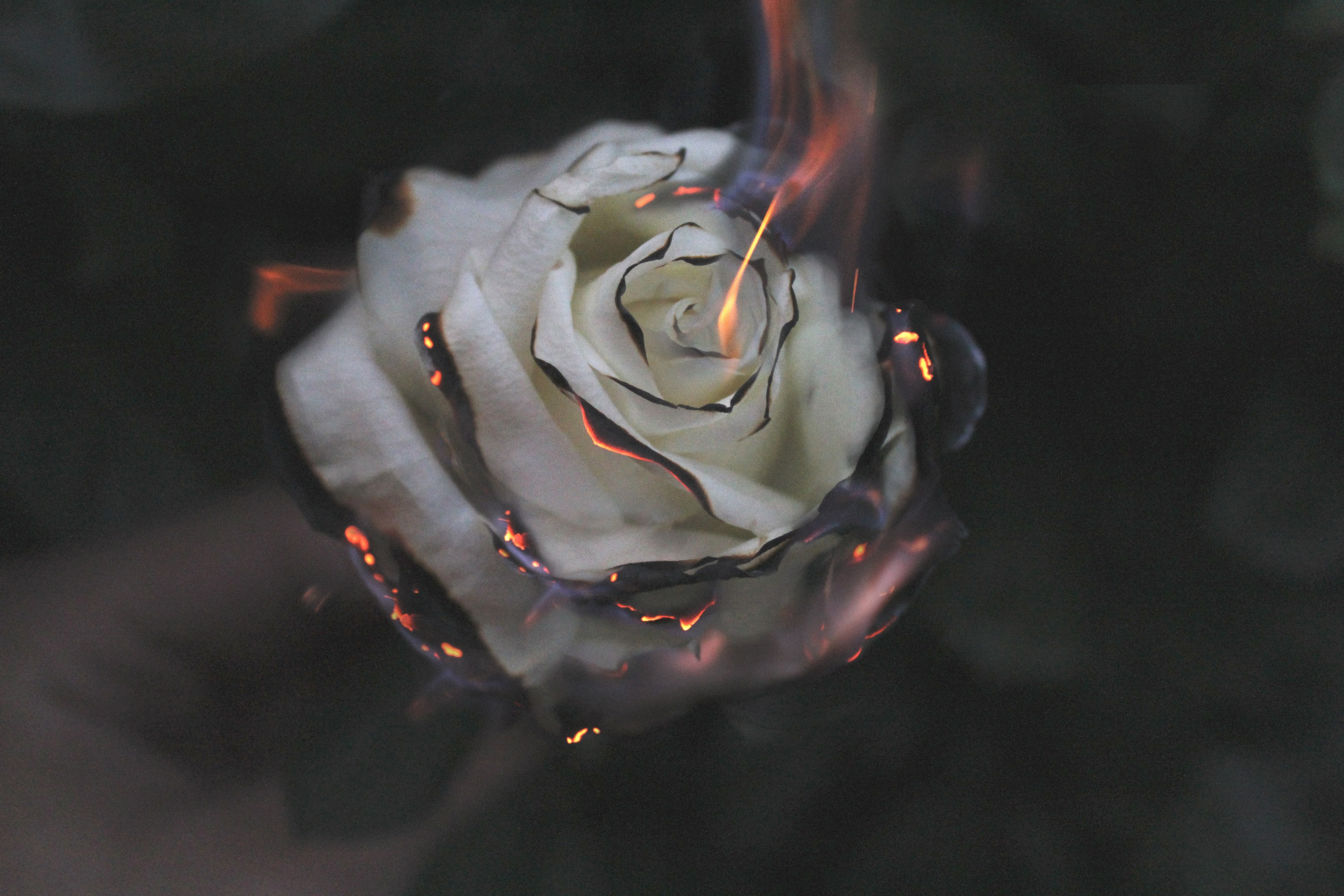 how does it feel now to watch it burn 4k, HD Wallpaper