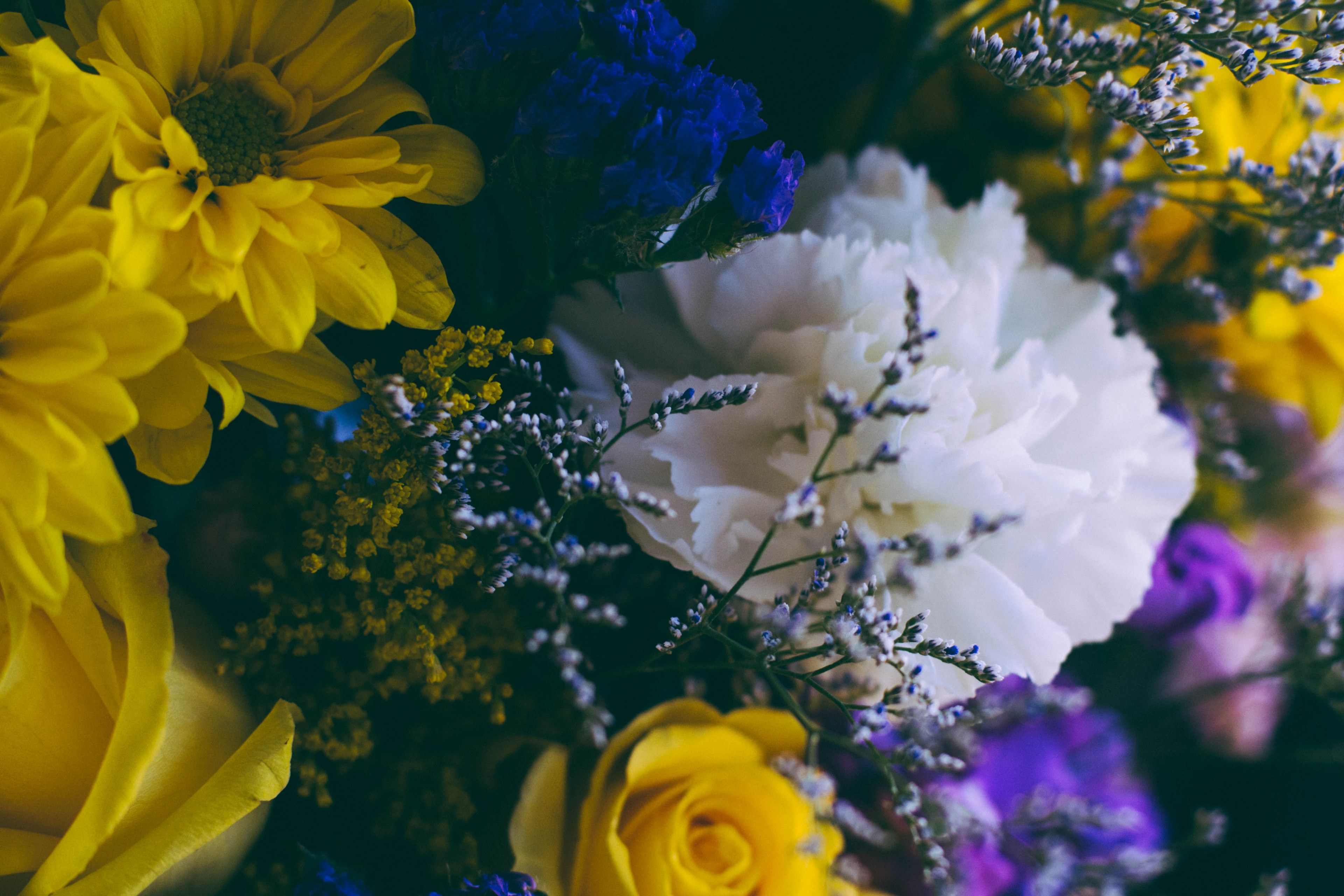 an overhead shot of a bouquet various types of decorative flowers, magnificent bouquet from above 4k, HD Wallpaper