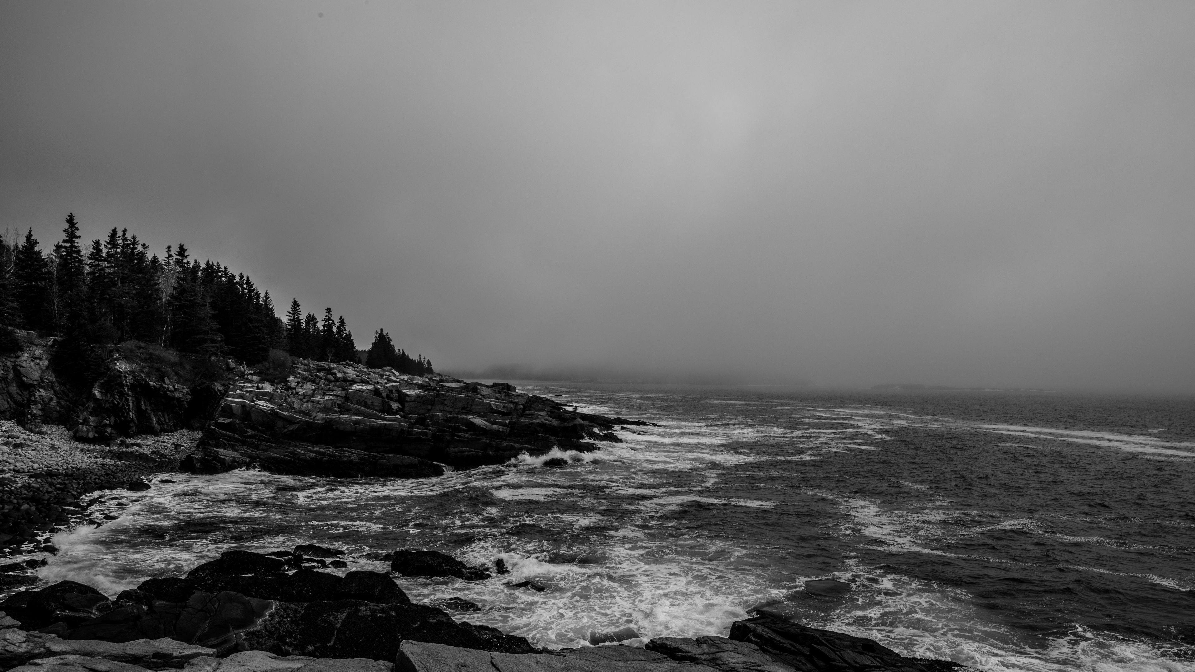rocks, waves, bw, forest, 4k, HD Wallpaper
