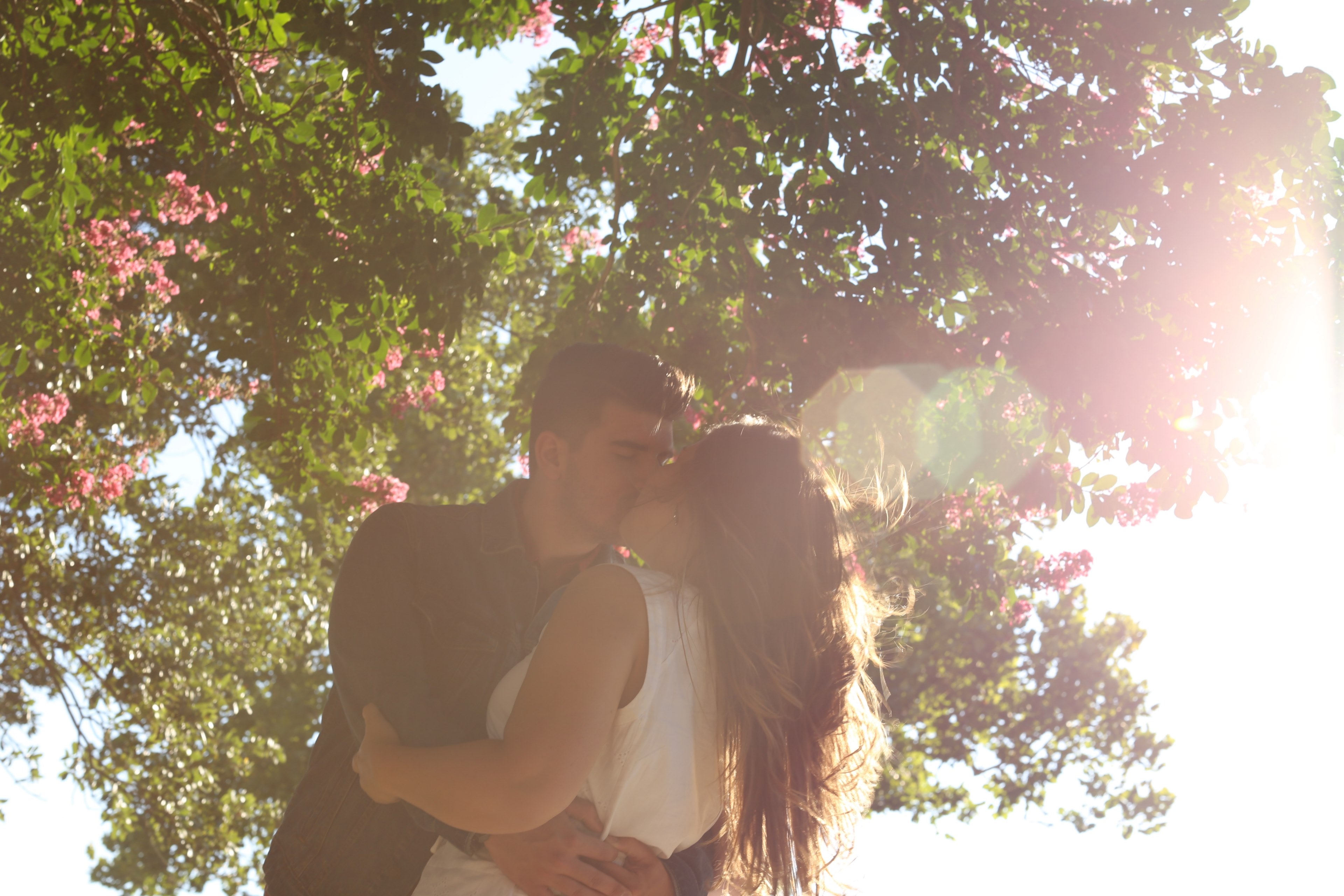couple kiss flower and sun 4k, HD Wallpaper