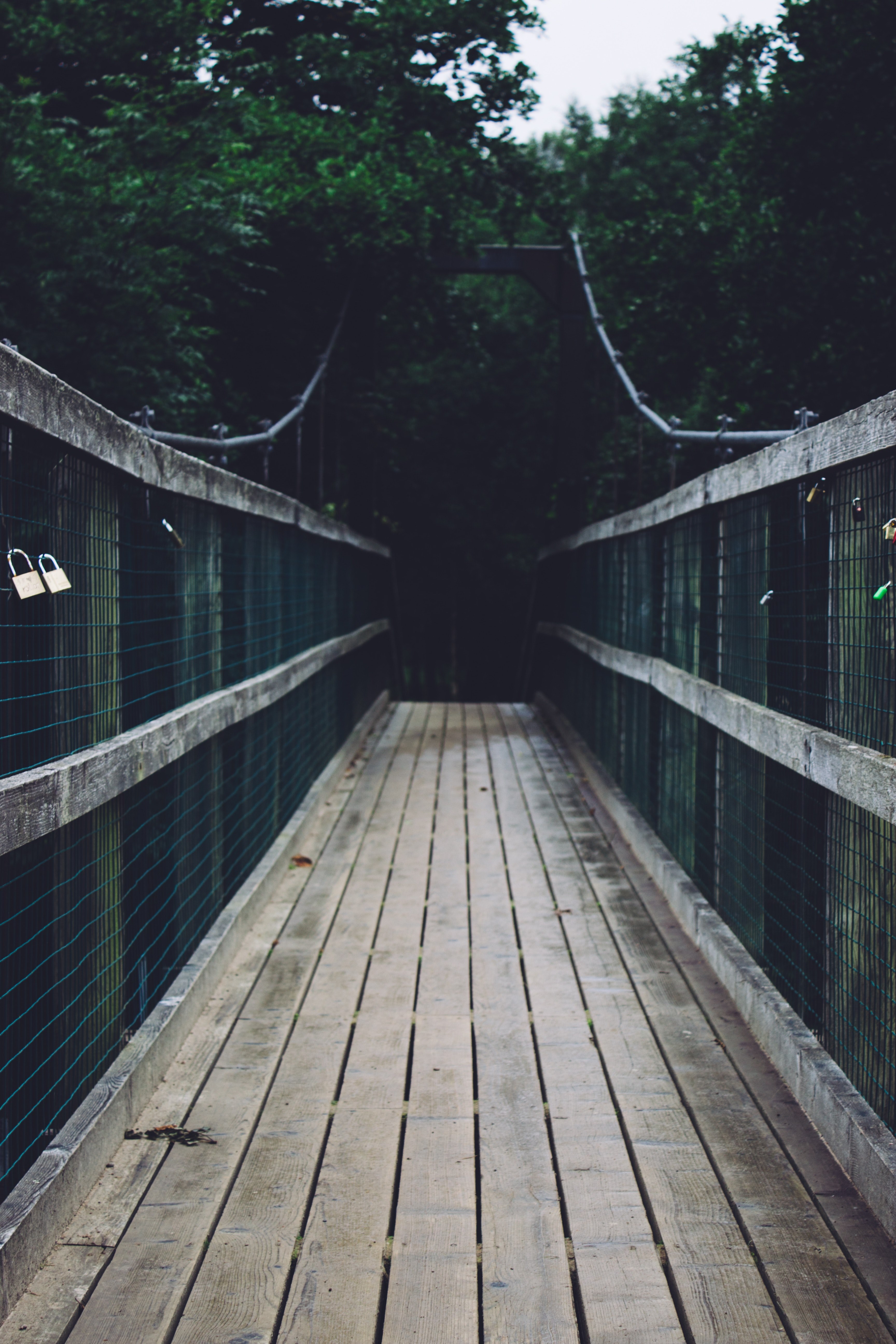 suspension river bridge and ben nevi hd, 4k, Phone HD Wallpaper