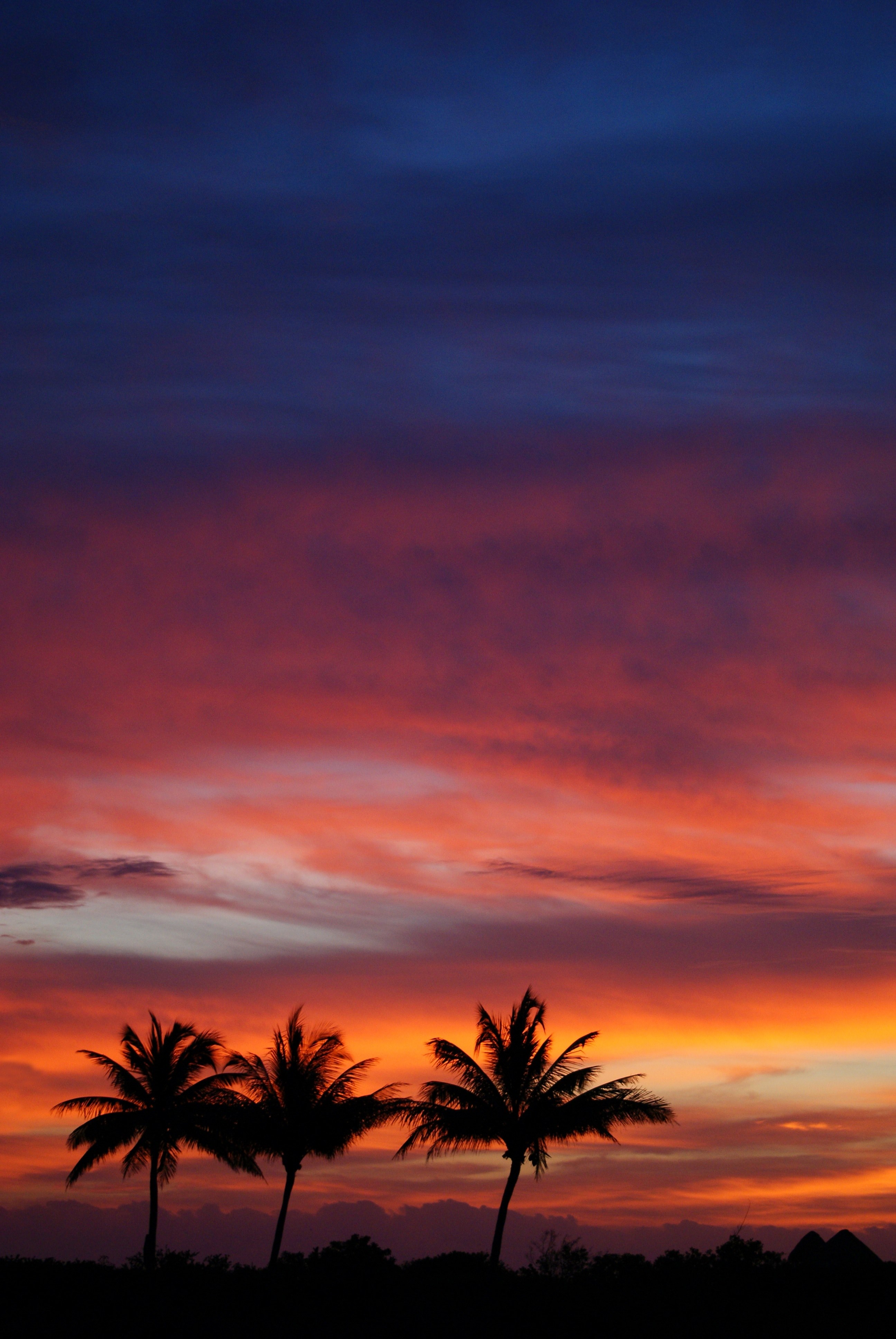 holbox island 4k, Phone HD Wallpaper
