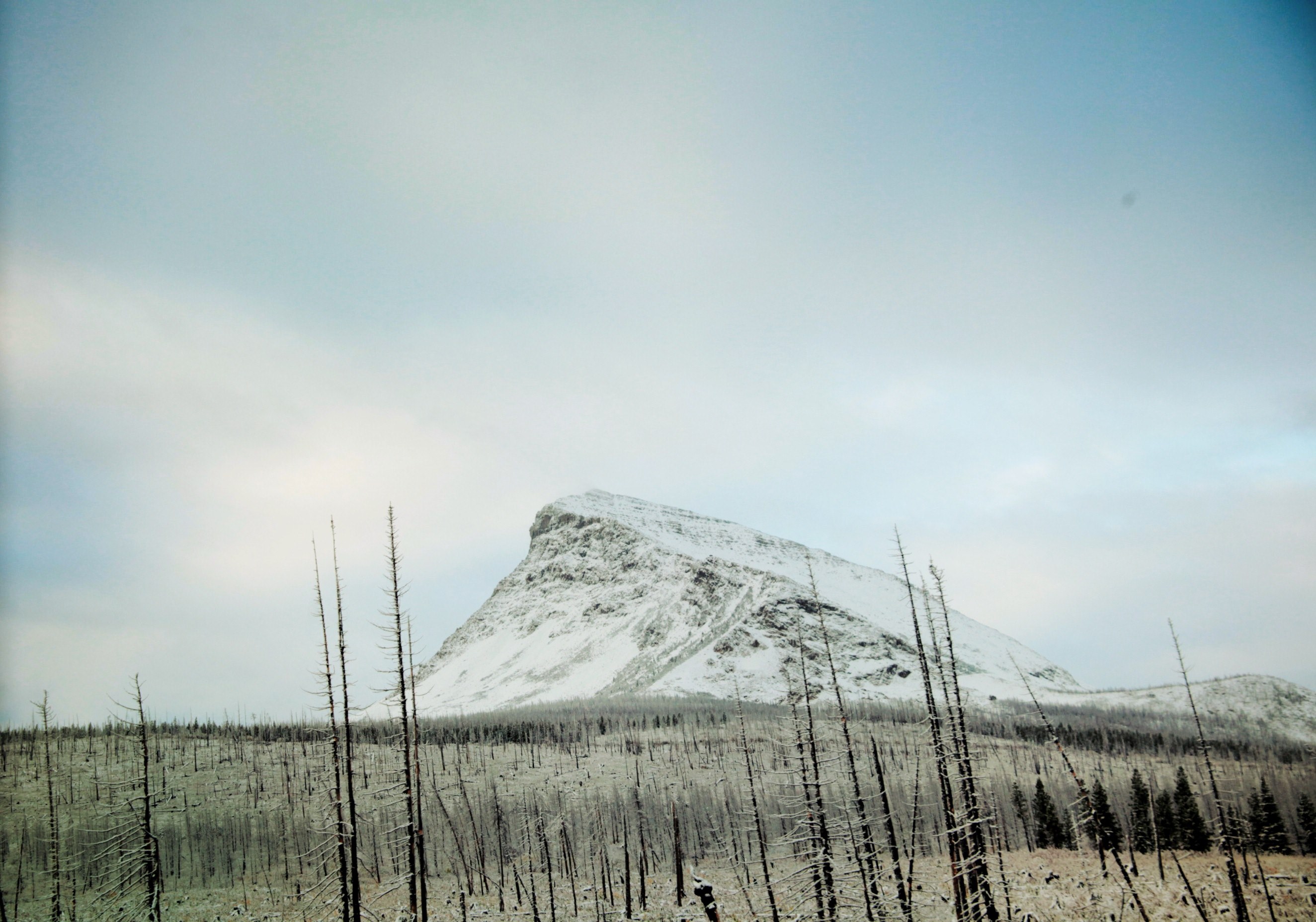 winter montana glacier national park and snow 4k, HD Wallpaper