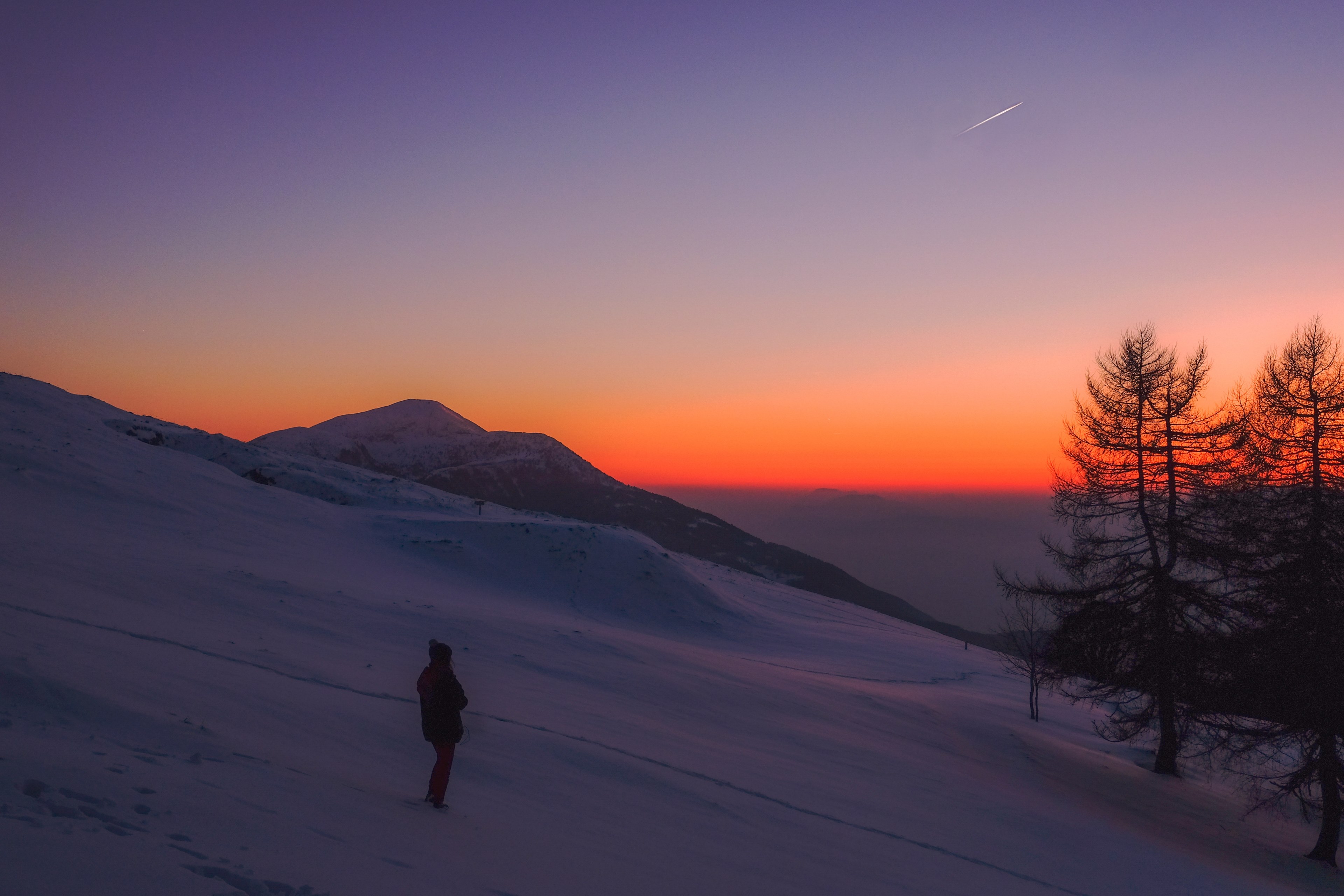 tree fuji fujifilm and snow 4k, HD Wallpaper