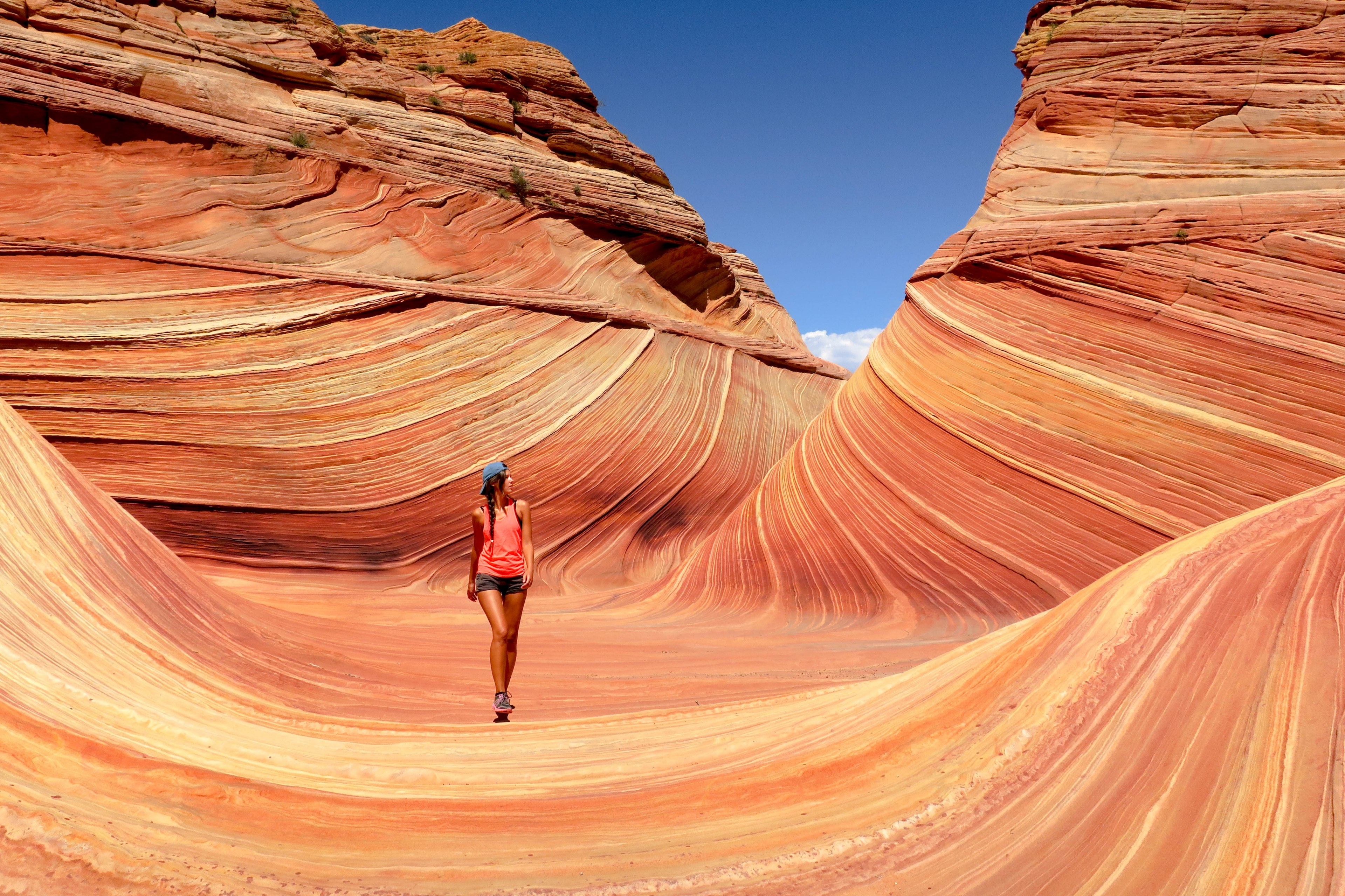 wandering the wave 4k, HD Wallpaper