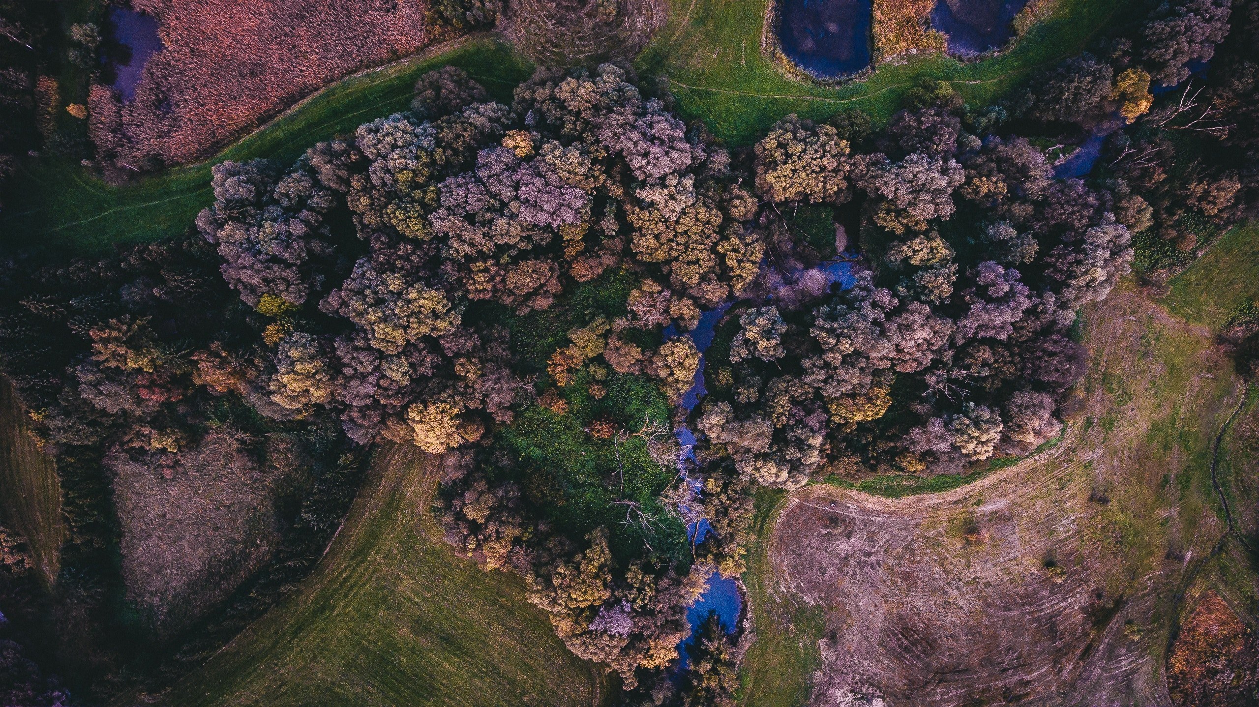 a drone shot of a picturesque area with a small stream and a copse of trees, view from above 4k, HD Wallpaper