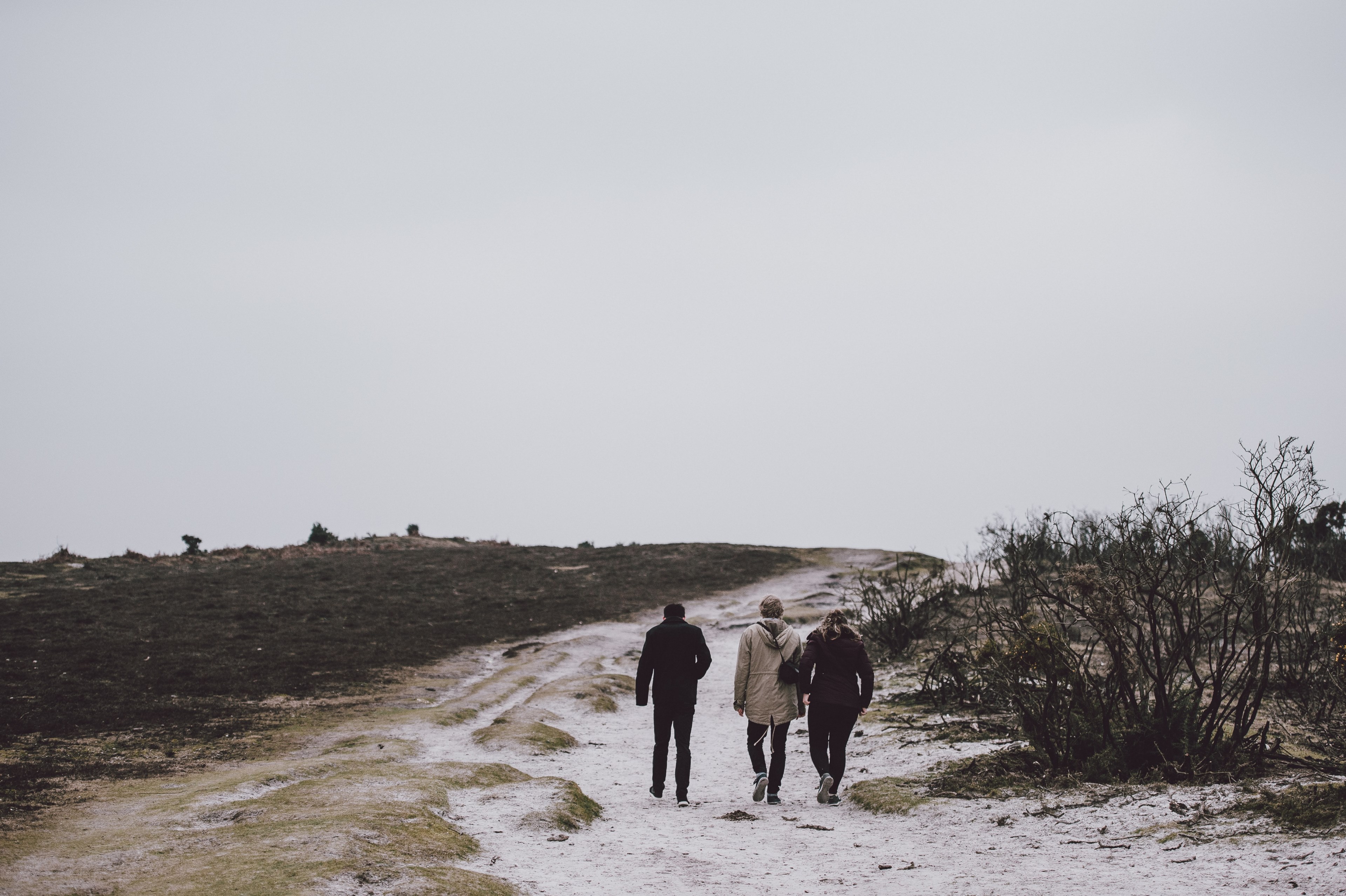 friends group people and walking 4k, HD Wallpaper