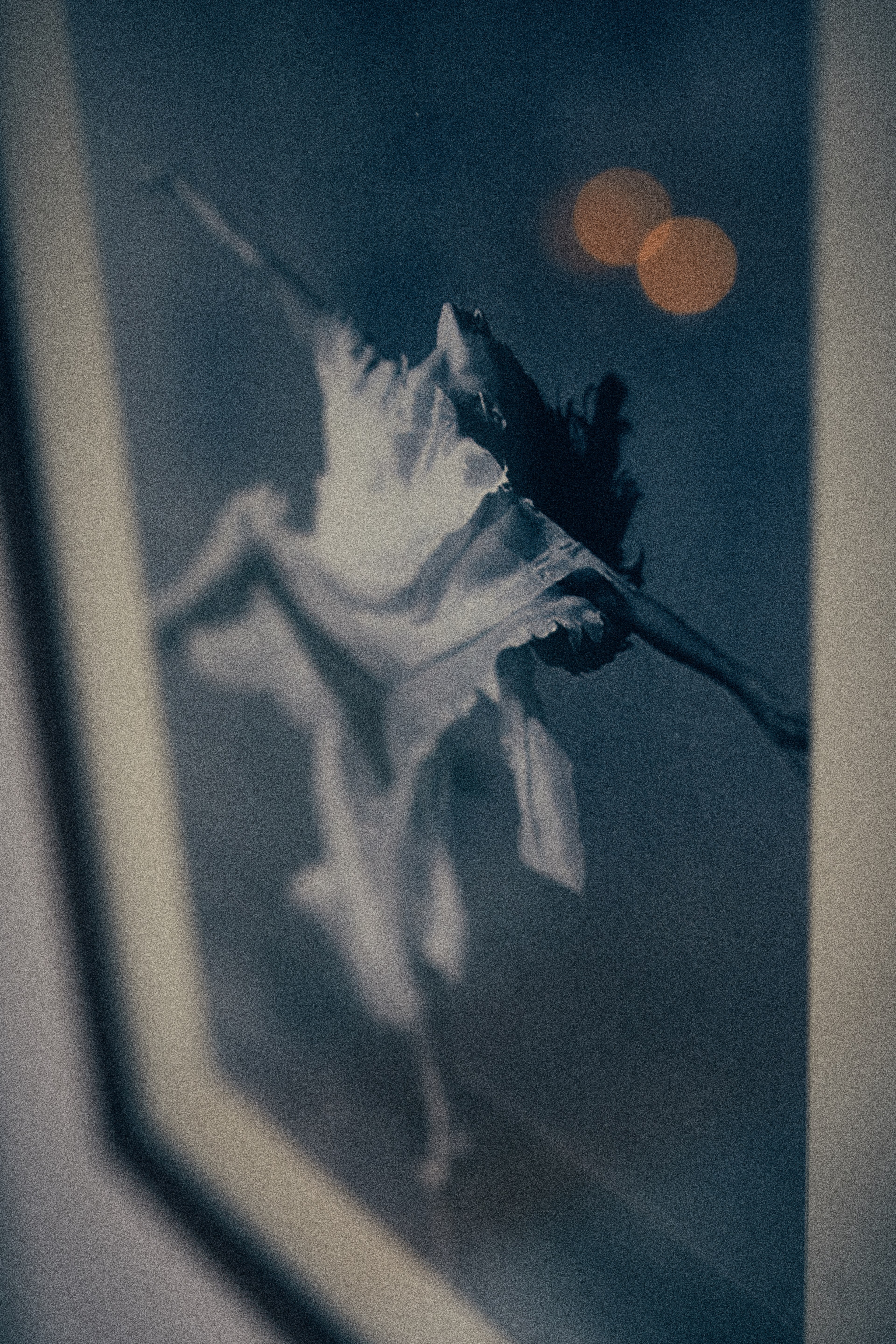 free as a bird 4k, Phone HD Wallpaper