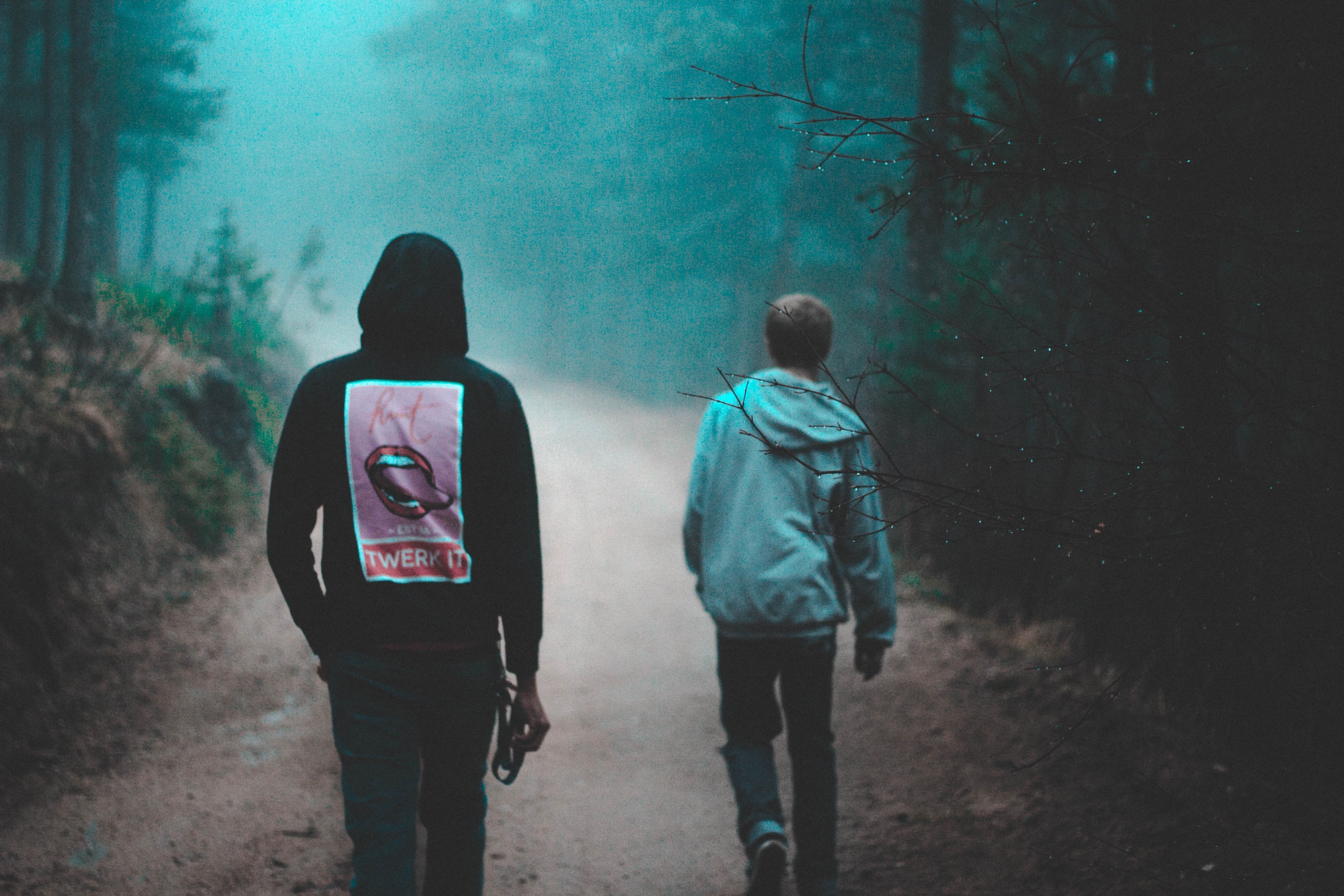 young friends in graphic hoodies walk through foggy woods, lost in the wilderness 4k, HD Wallpaper