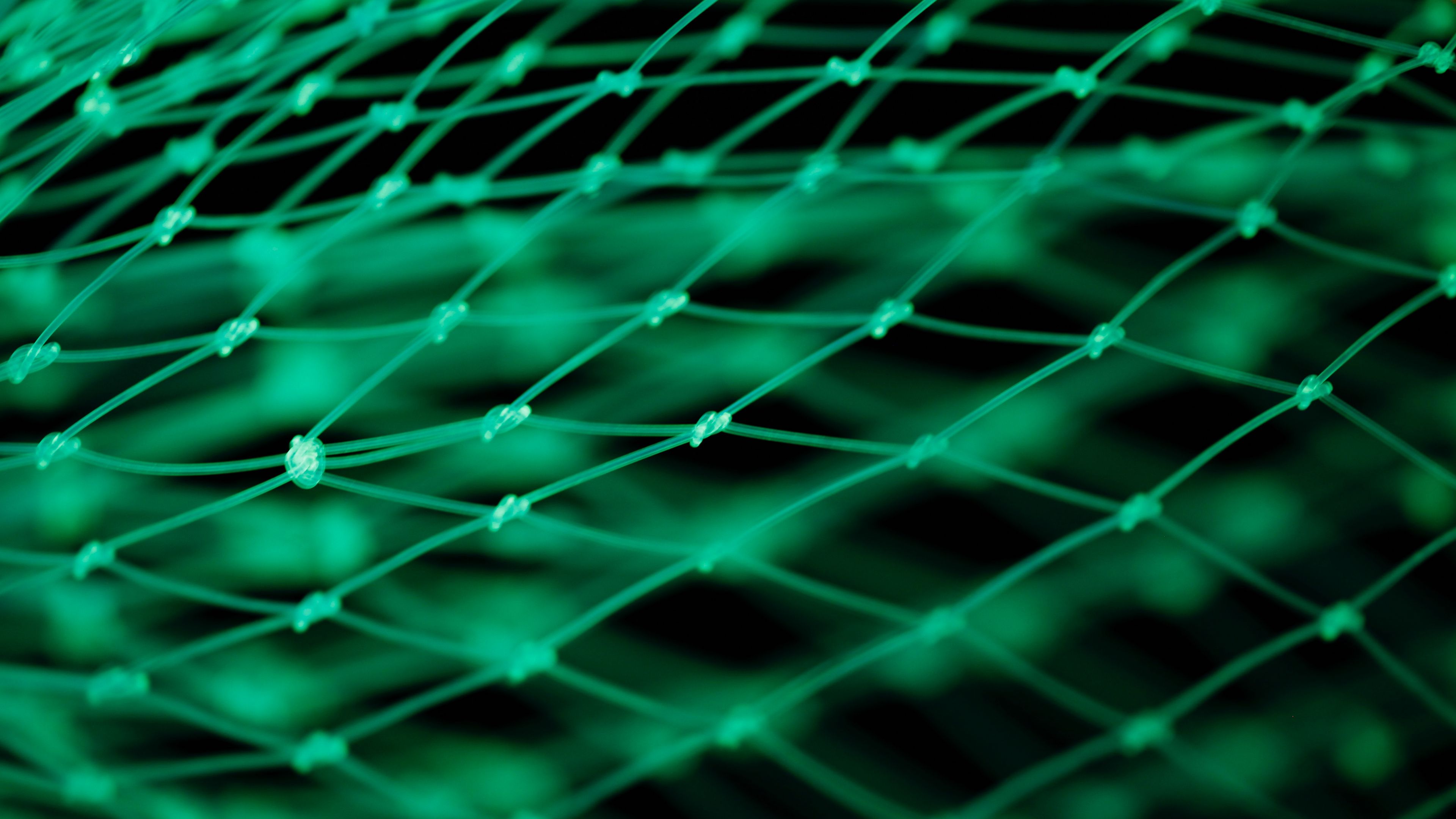 grid, green, plexus, 4k, HD Wallpaper