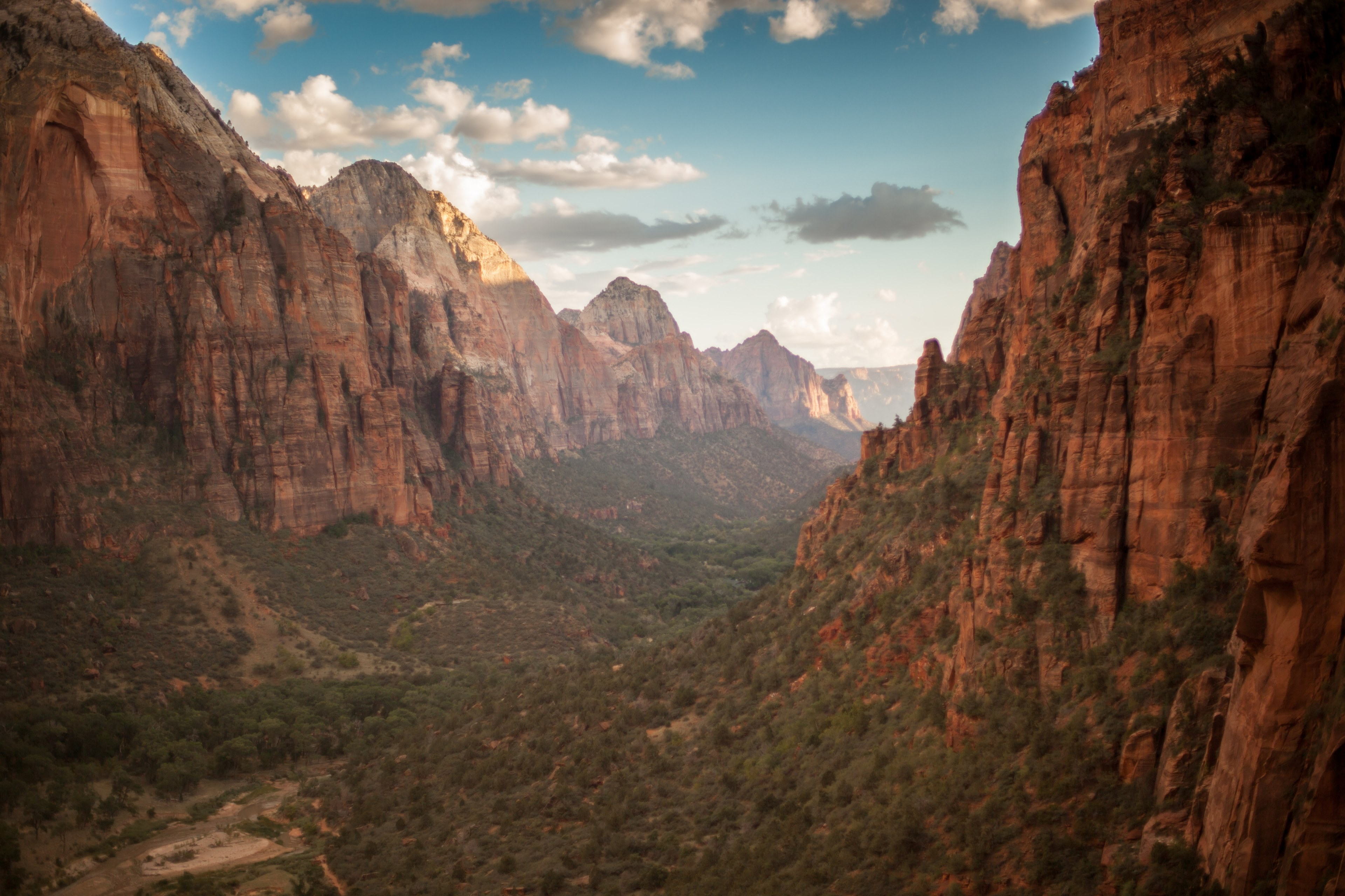 orange mountain cliff and a lush valley below in zion national park, picturesque mountain view 4k, HD Wallpaper