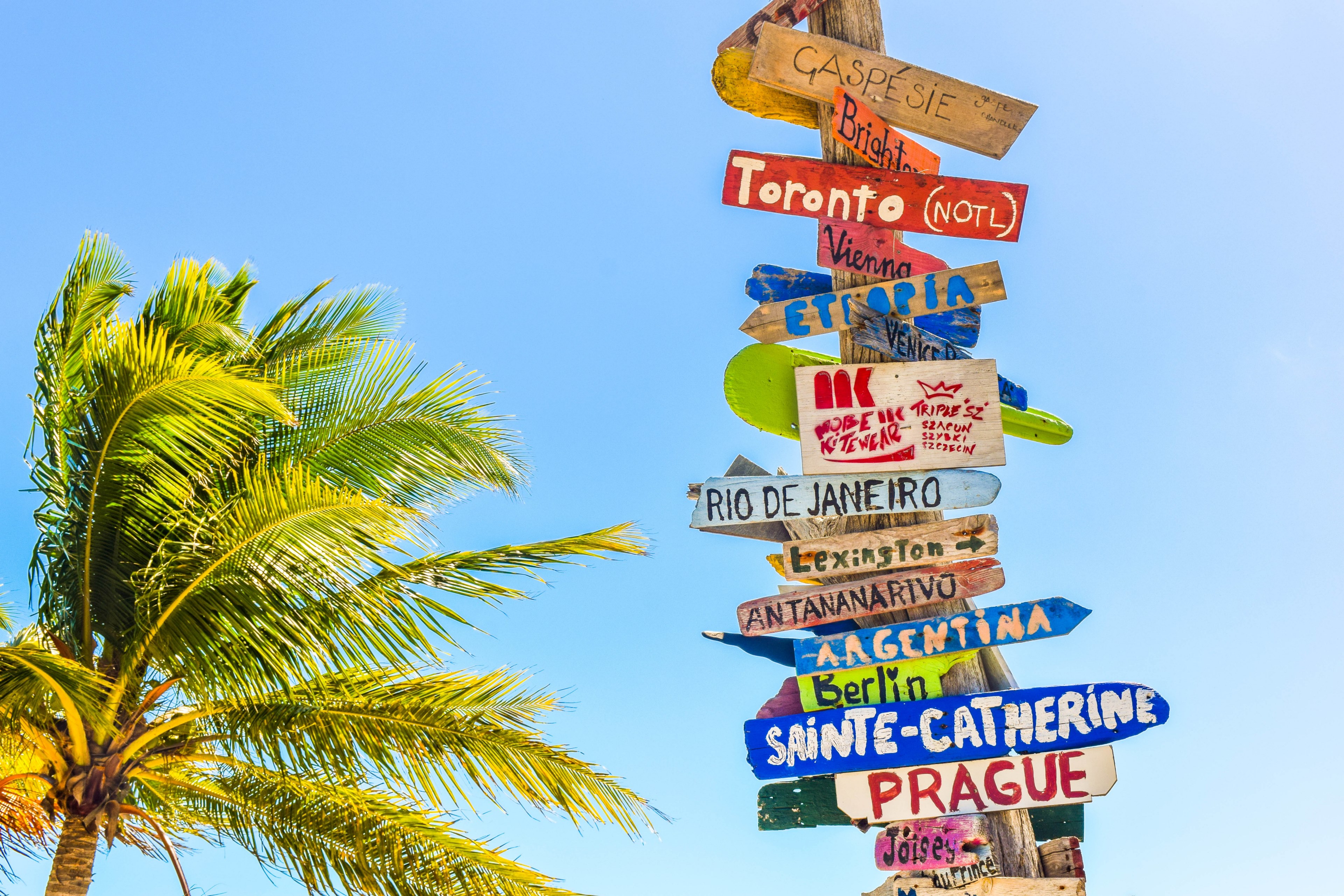 directional signs on a wooden pole by the palm tree at long bay beach, which way to go 4k, HD Wallpaper