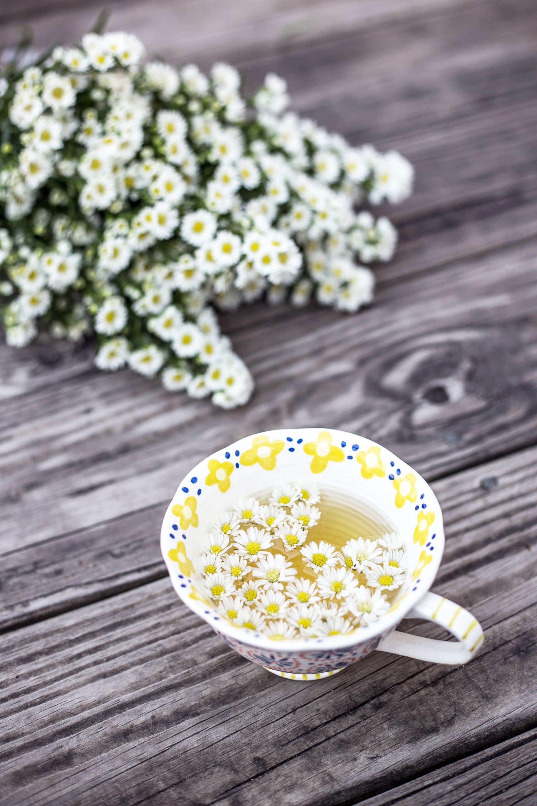 flower yellow cup and tea hd, 4k, Phone HD Wallpaper