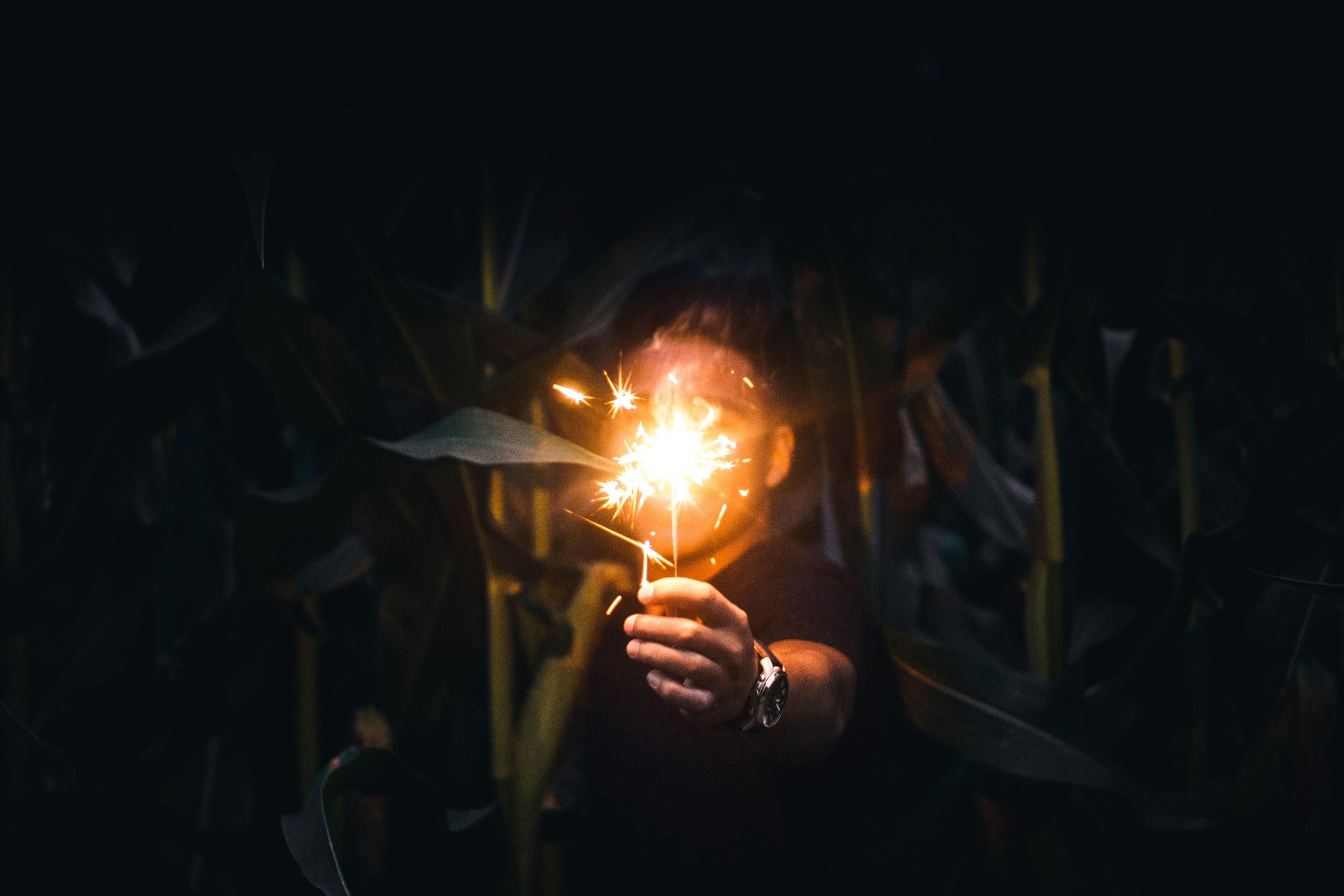 person with watch holds lit sparkler in front of face in the dark, holding sparkler in the dark 4k, HD Wallpaper