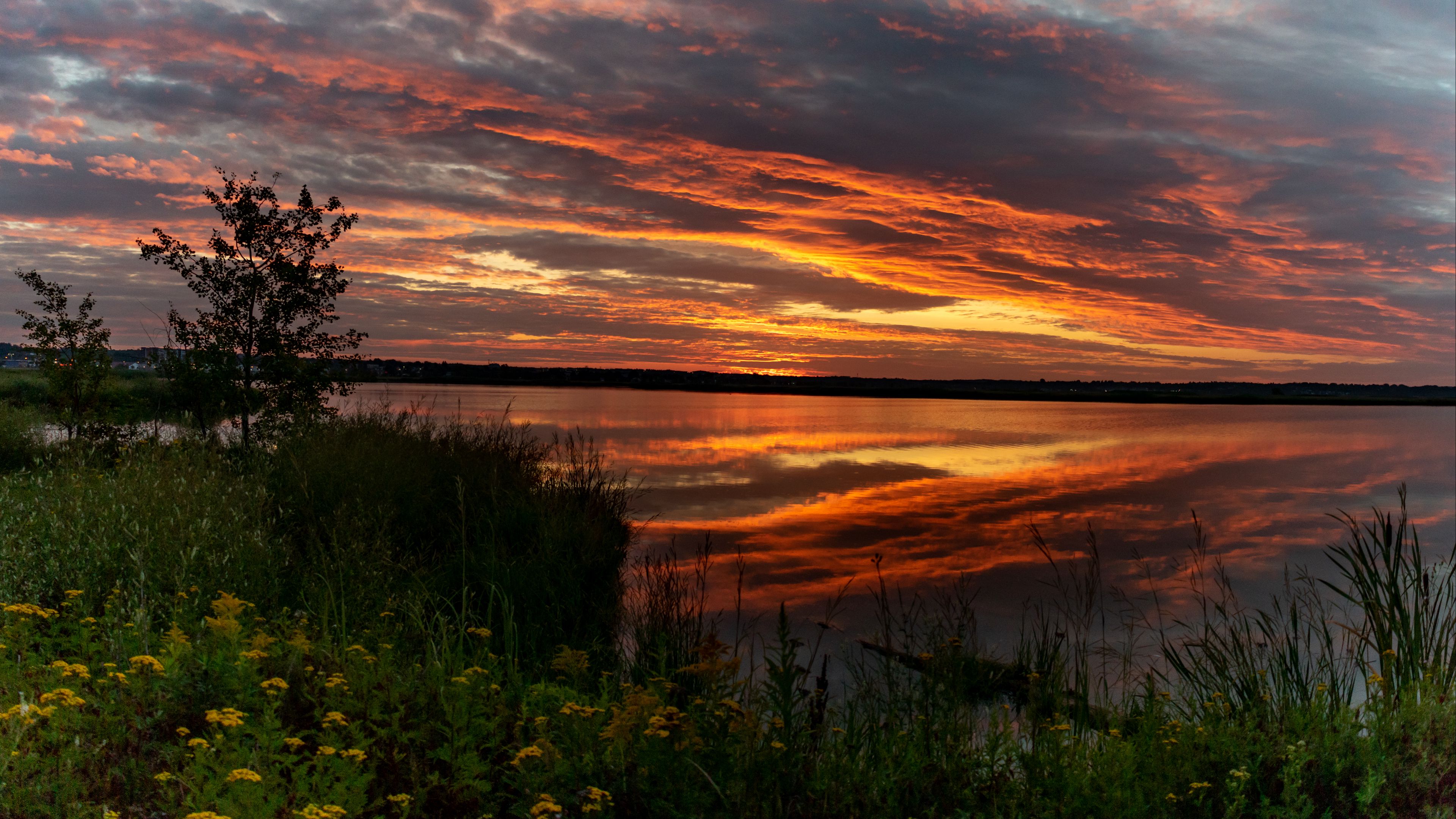 horizon, sunset, bushes, water, 4k, HD Wallpaper