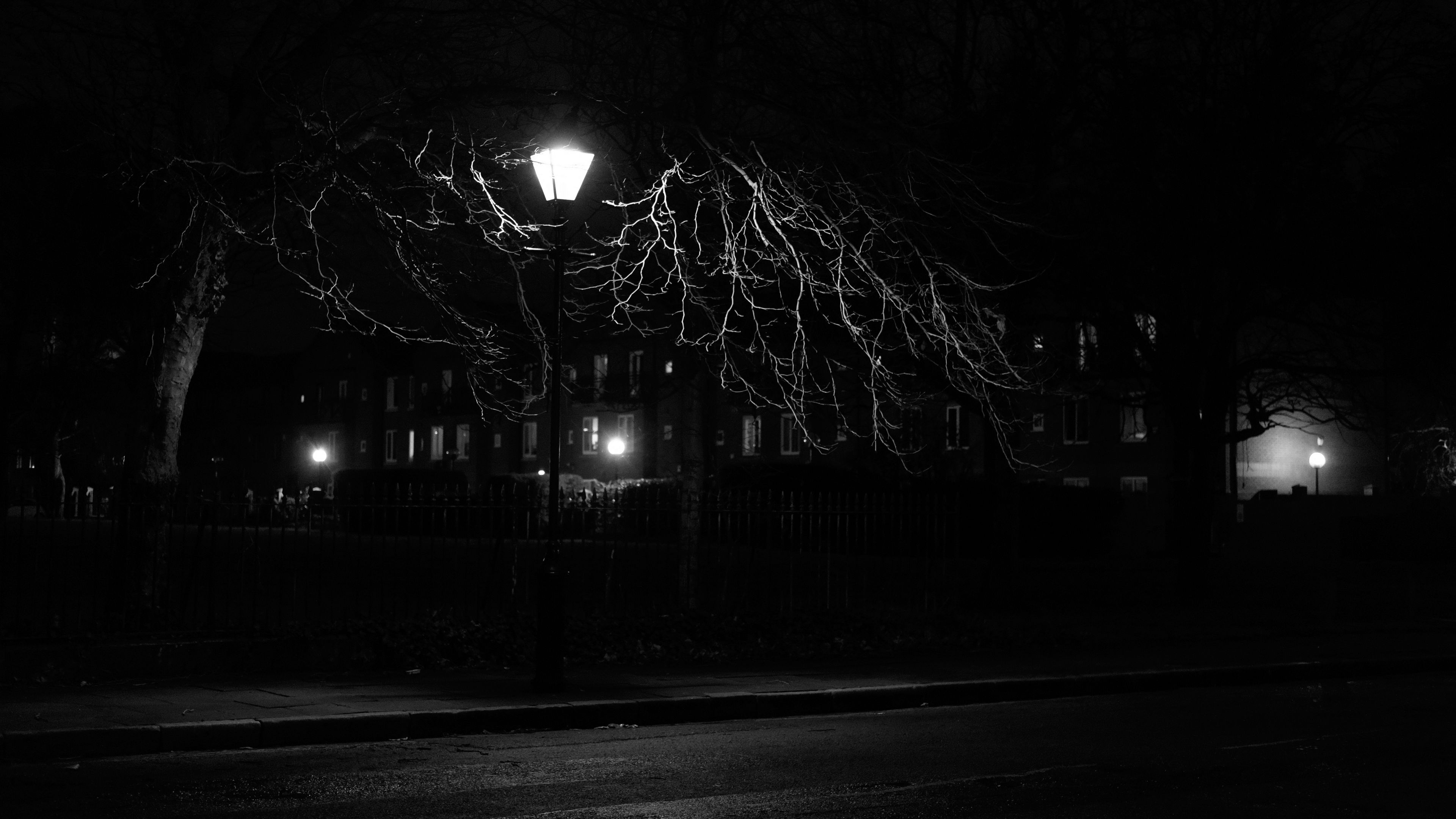 lantern, night, tree, bw, 4k, HD Wallpaper