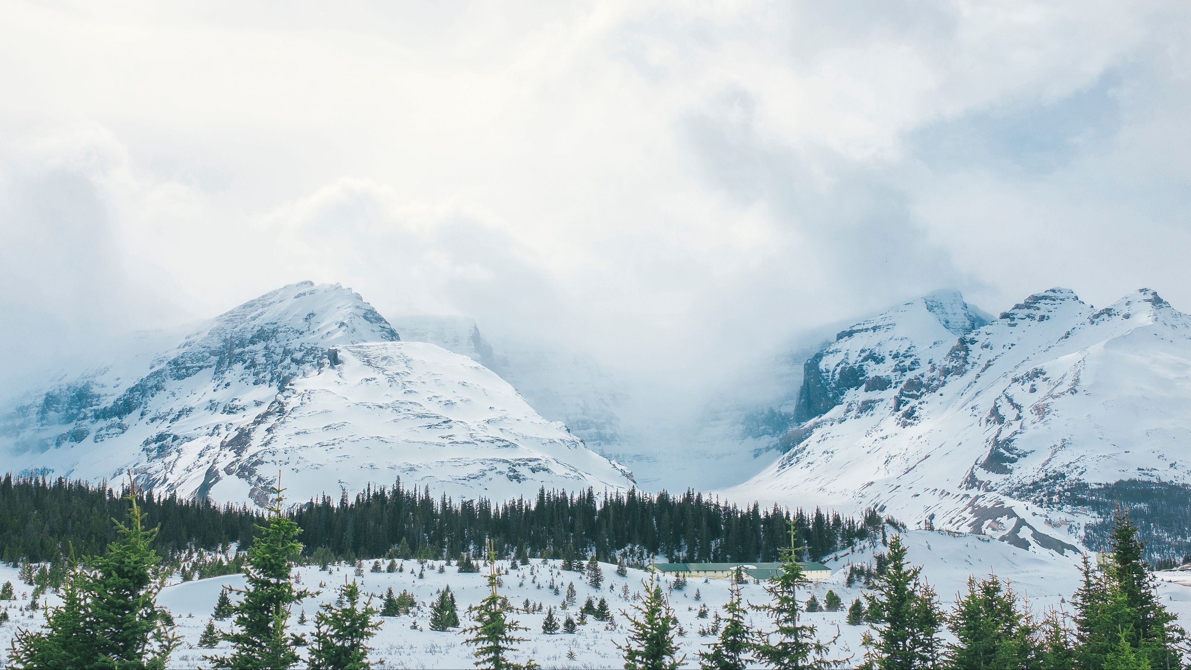 mountains, snow, peaks, trees, fog, 4k, HD Wallpaper