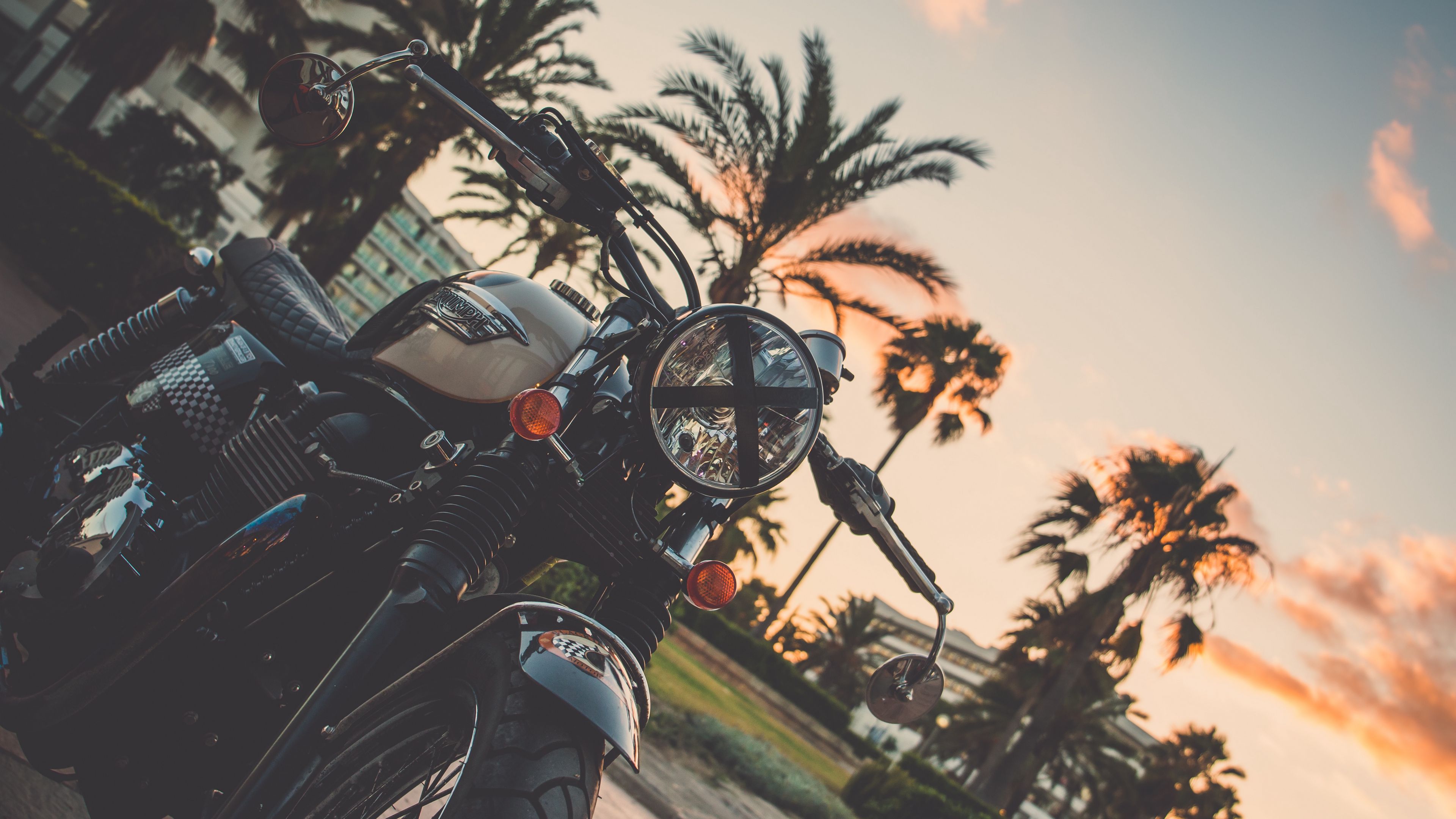 motorcycle, bike, palm tree, 4k, HD Wallpaper